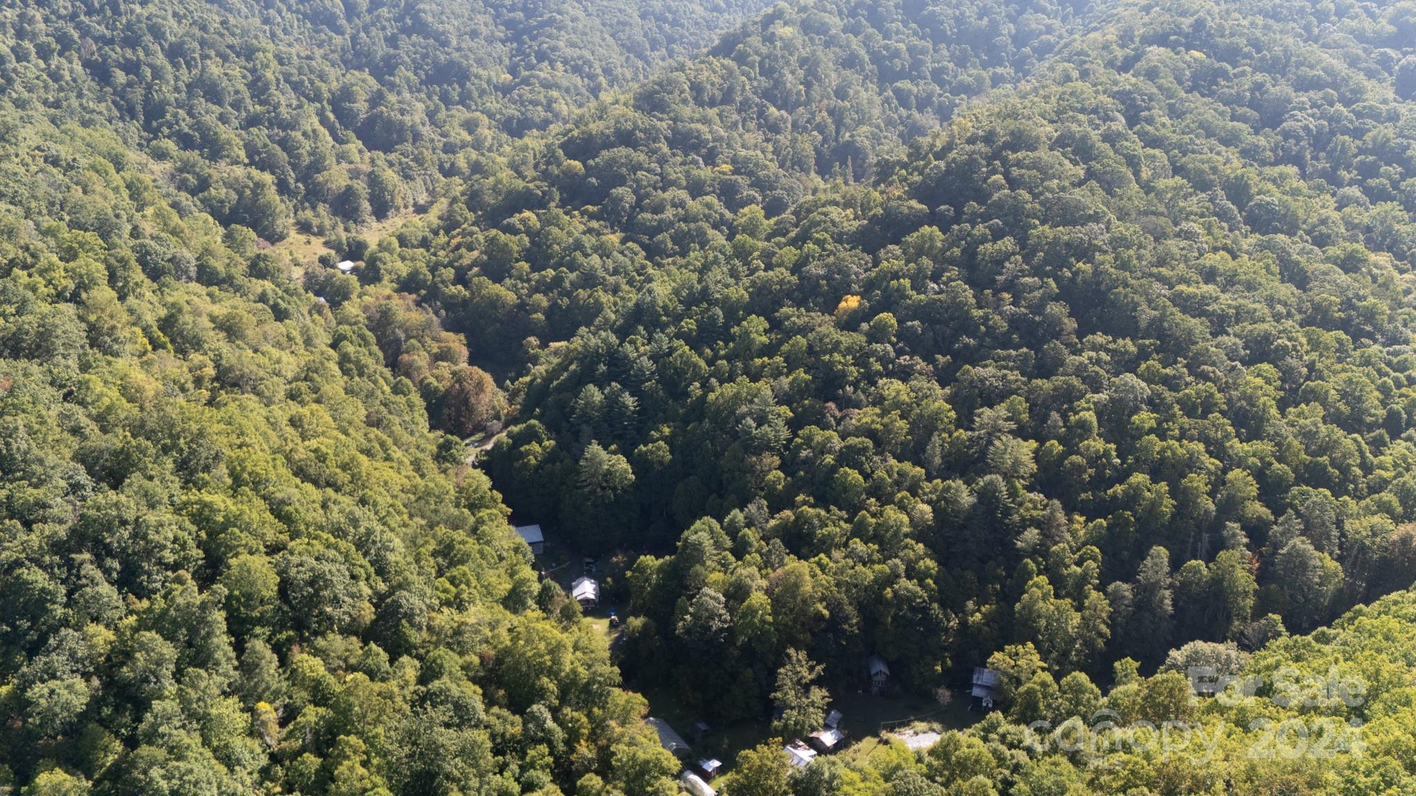 9999 Kelses Valley Drive Mars Hill NC 28754