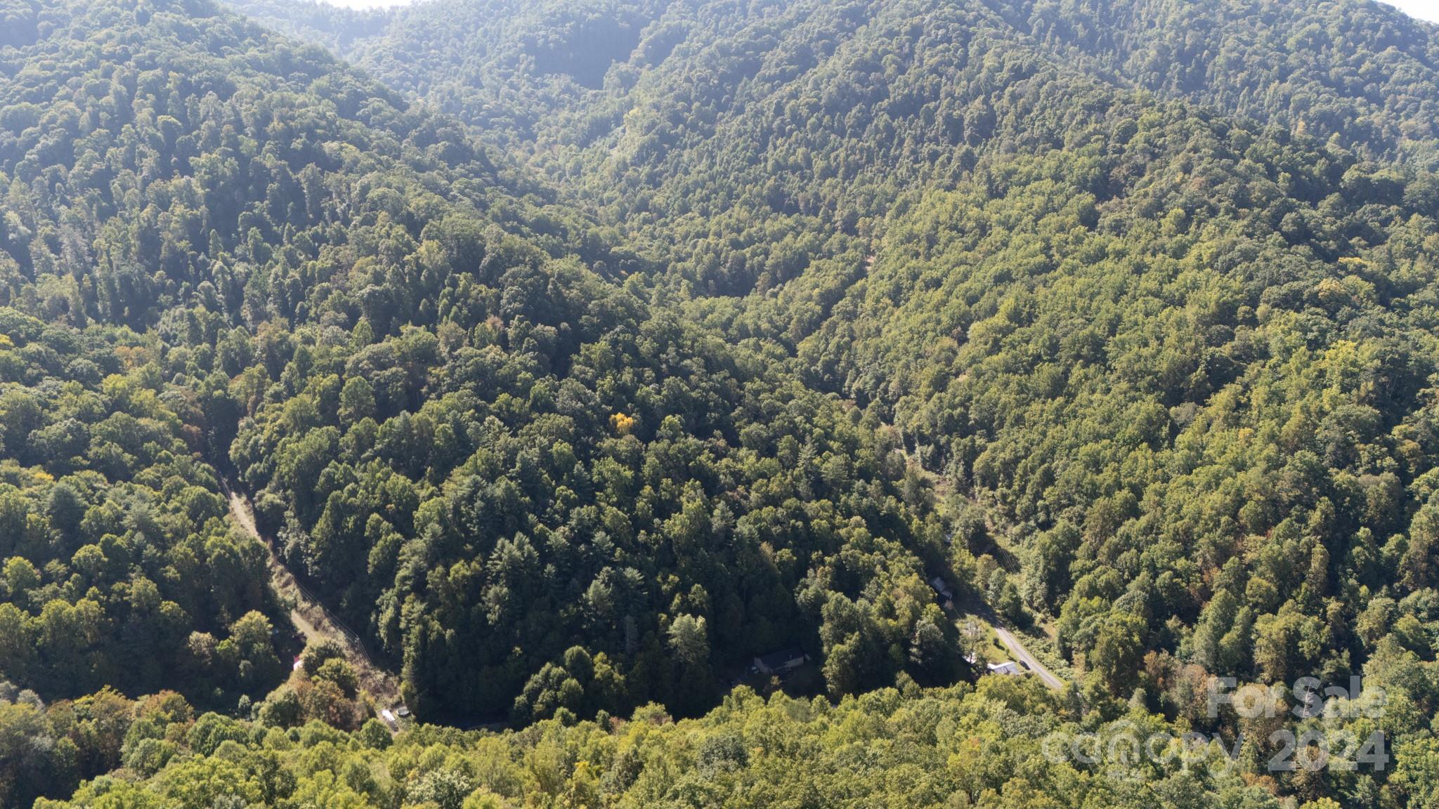 9999 Kelses Valley Drive Mars Hill NC 28754