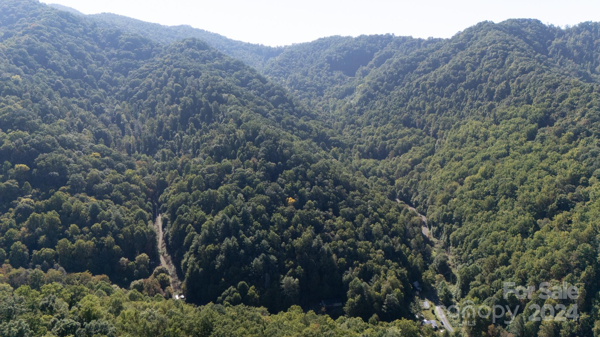 9999 Kelses Valley Drive Mars Hill NC 28754