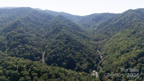9999 Kelses Valley Drive Mars Hill NC 28754