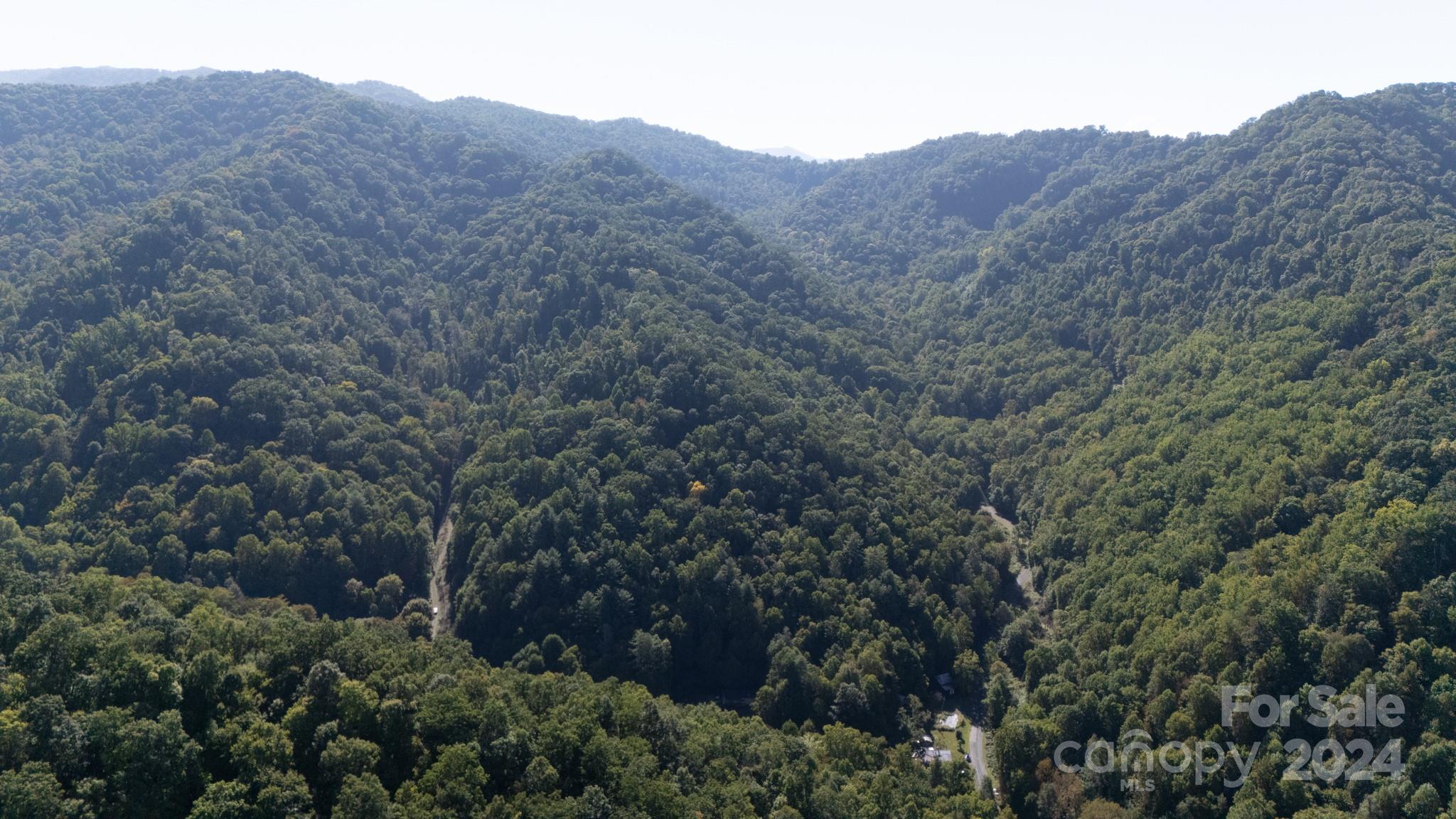 9999 Kelses Valley Drive Mars Hill NC 28754