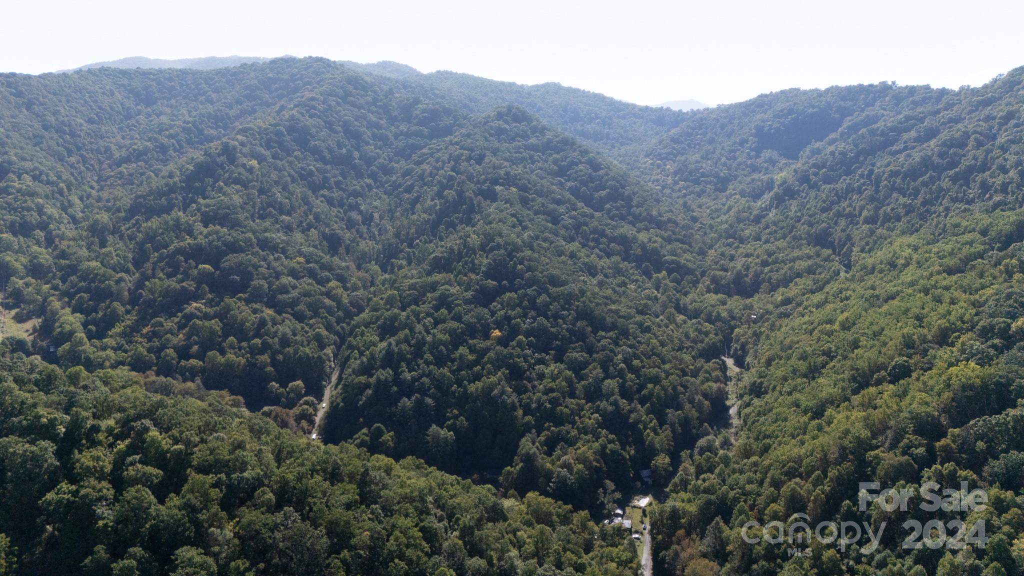 9999 Kelses Valley Drive Mars Hill NC 28754