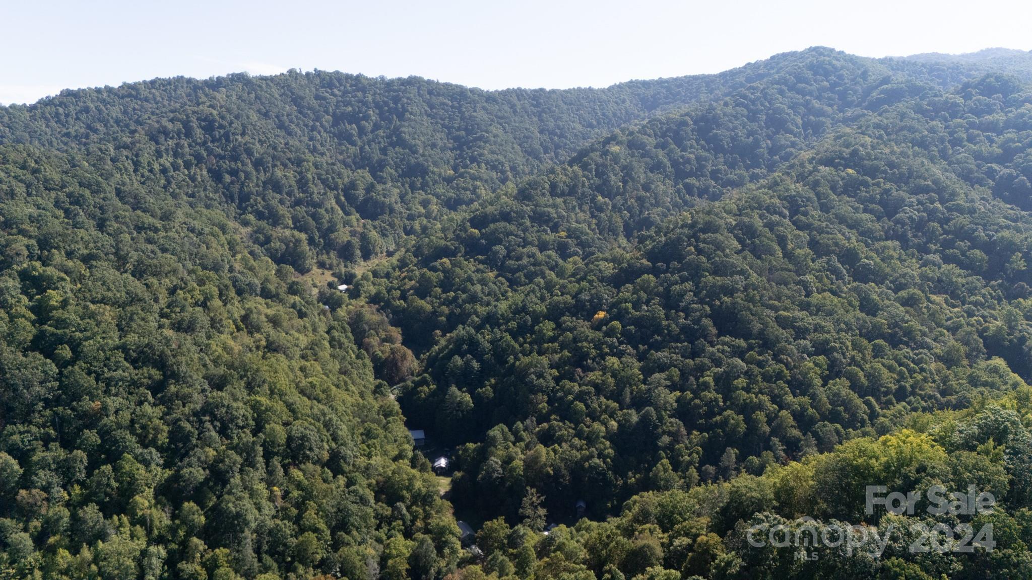 9999 Kelses Valley Drive Mars Hill NC 28754