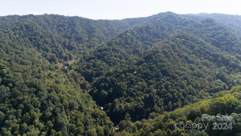 9999 Kelses Valley Drive Mars Hill NC 28754