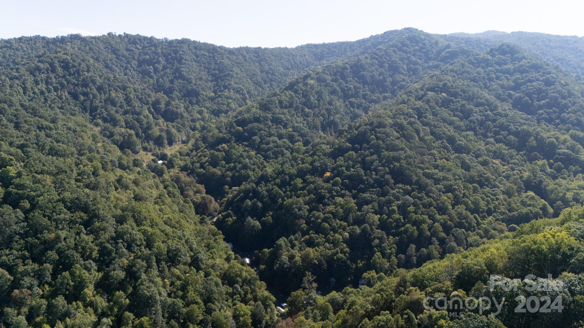 9999 Kelses Valley Drive Mars Hill NC 28754