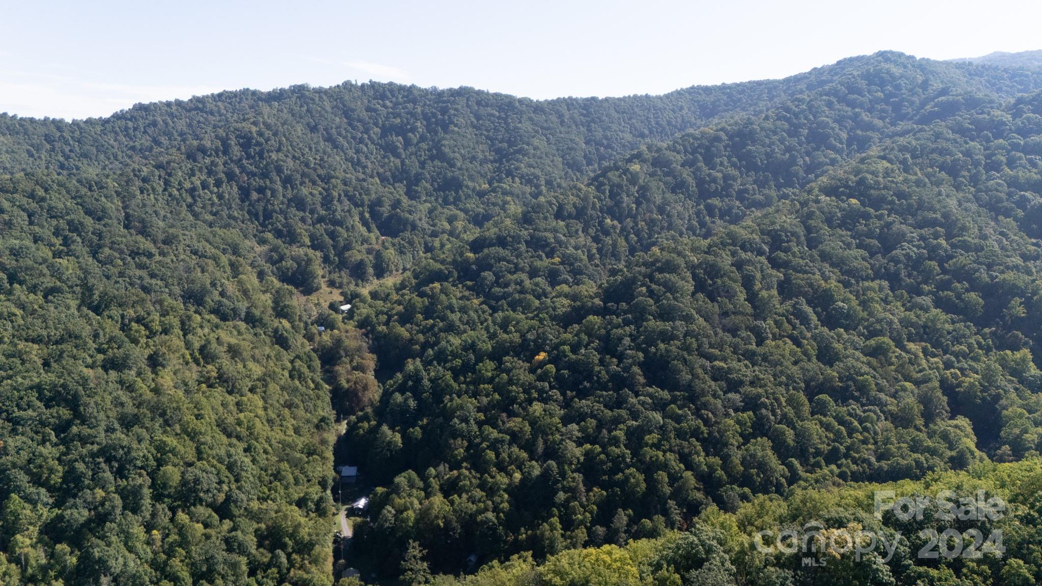 9999 Kelses Valley Drive Mars Hill NC 28754