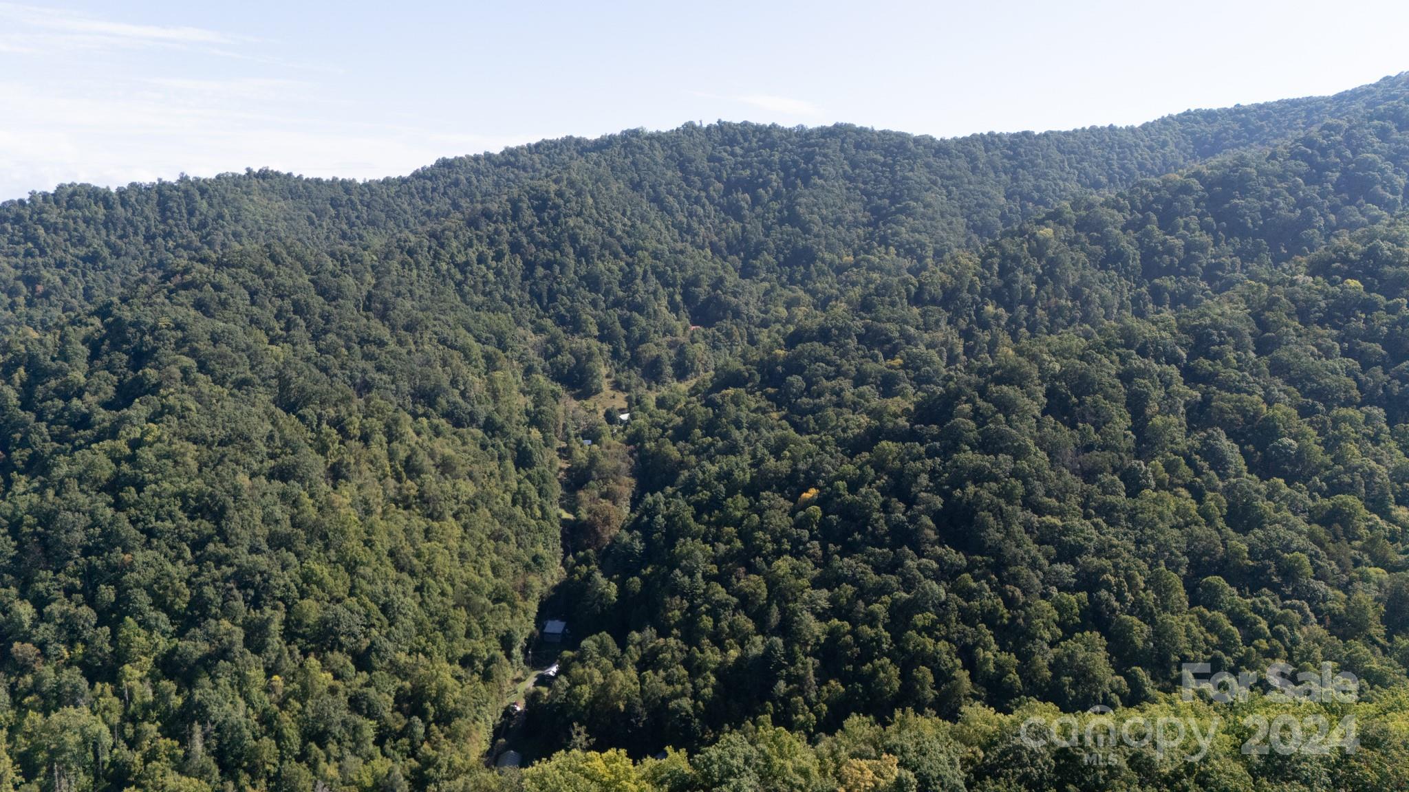 9999 Kelses Valley Drive Mars Hill NC 28754