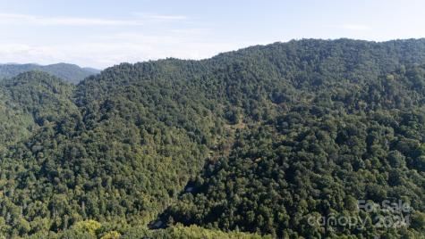 9999 Kelses Valley Drive Mars Hill NC 28754