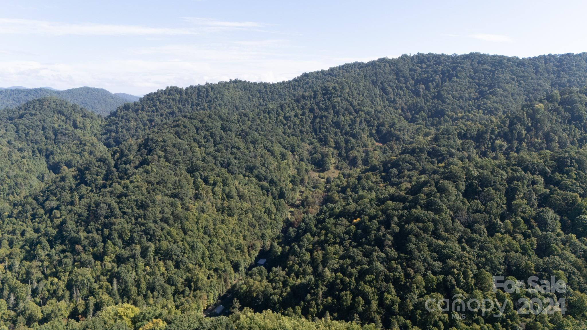 9999 Kelses Valley Drive Mars Hill NC 28754