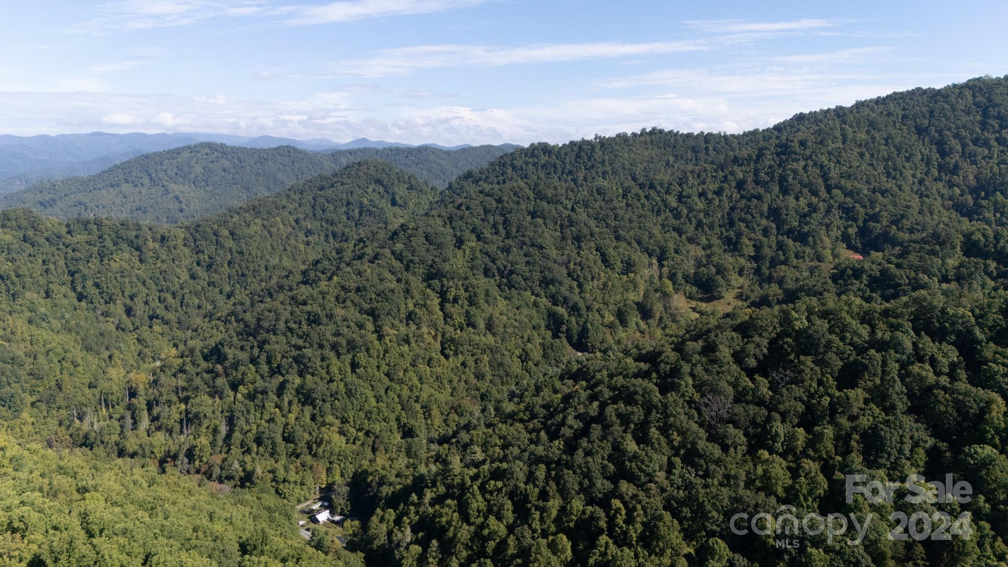 9999 Kelses Valley Drive Mars Hill NC 28754