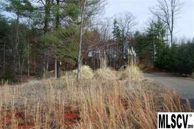 2989 Grace View Place Granite Falls NC 28630