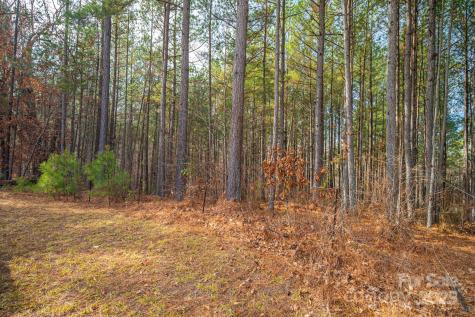 125 Catawba Cove Drive NW Valdese NC 28690