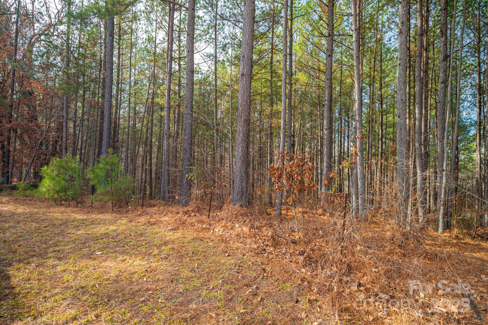 125 Catawba Cove Drive NW Valdese NC 28690