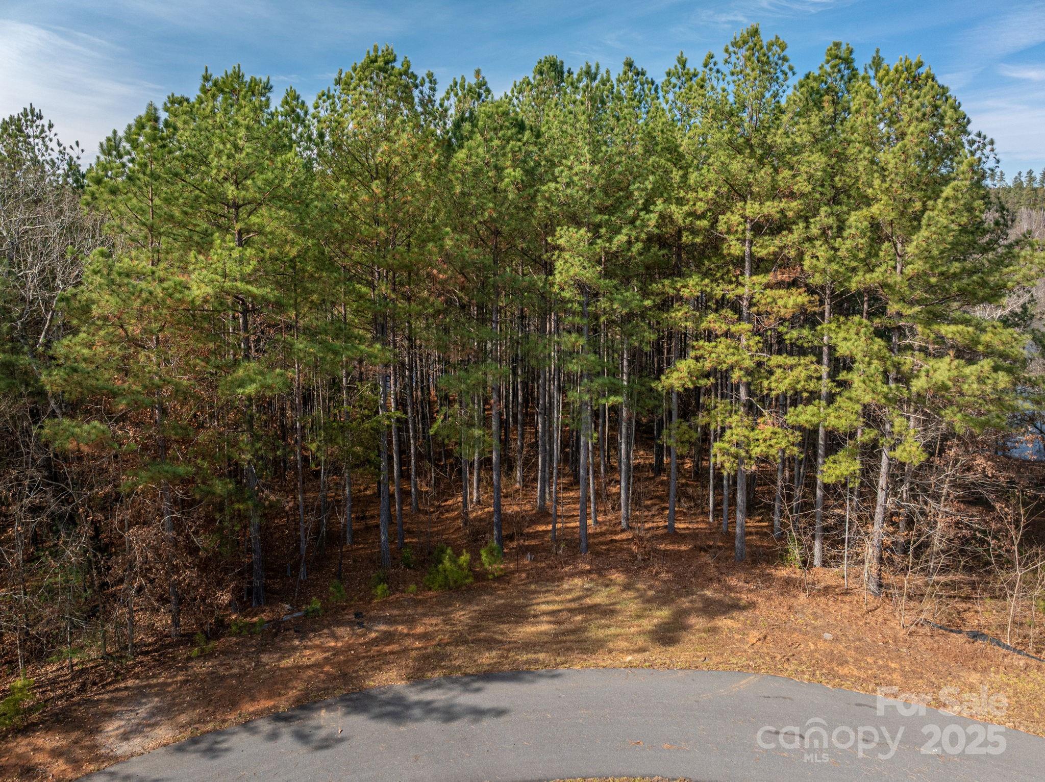 125 Catawba Cove Drive NW Valdese NC 28690