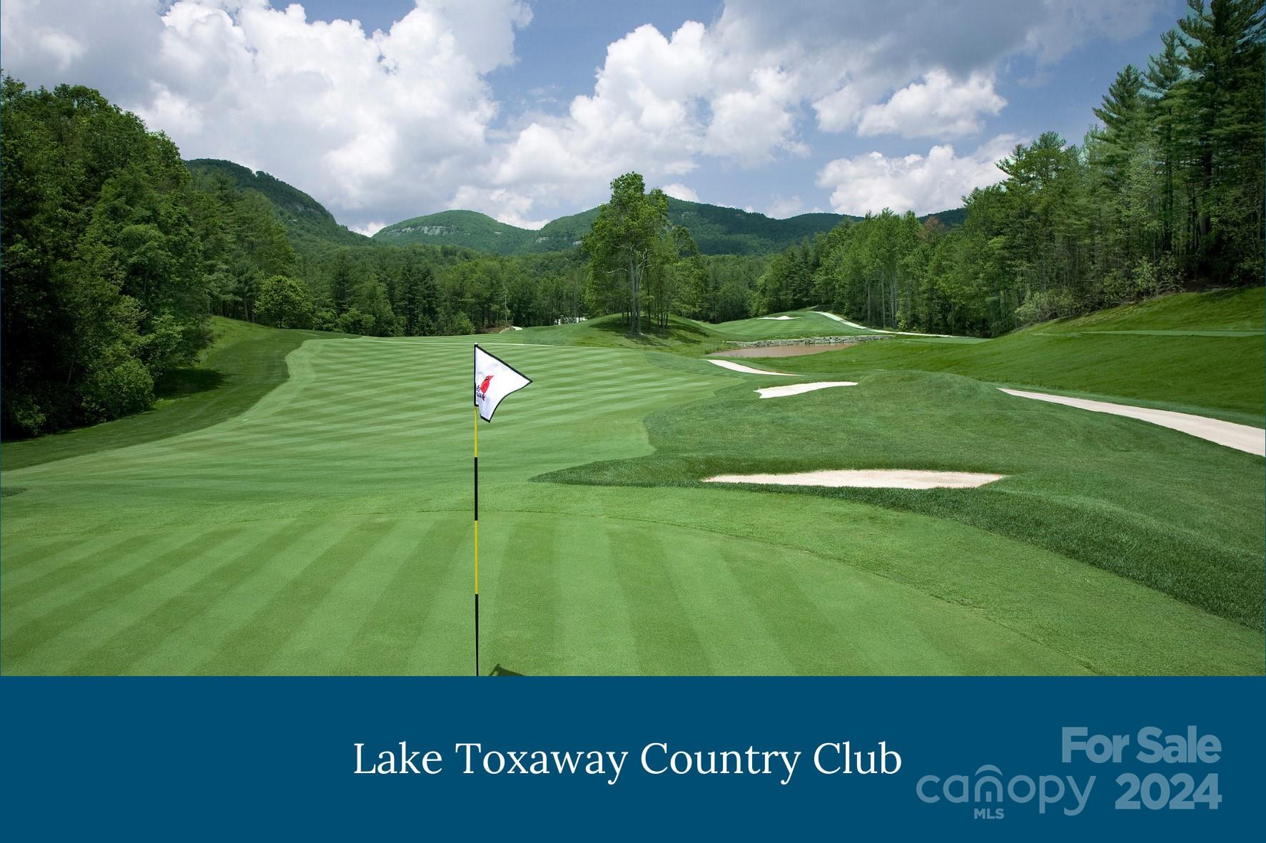 0 Toxaway Court Lake Toxaway NC 28747