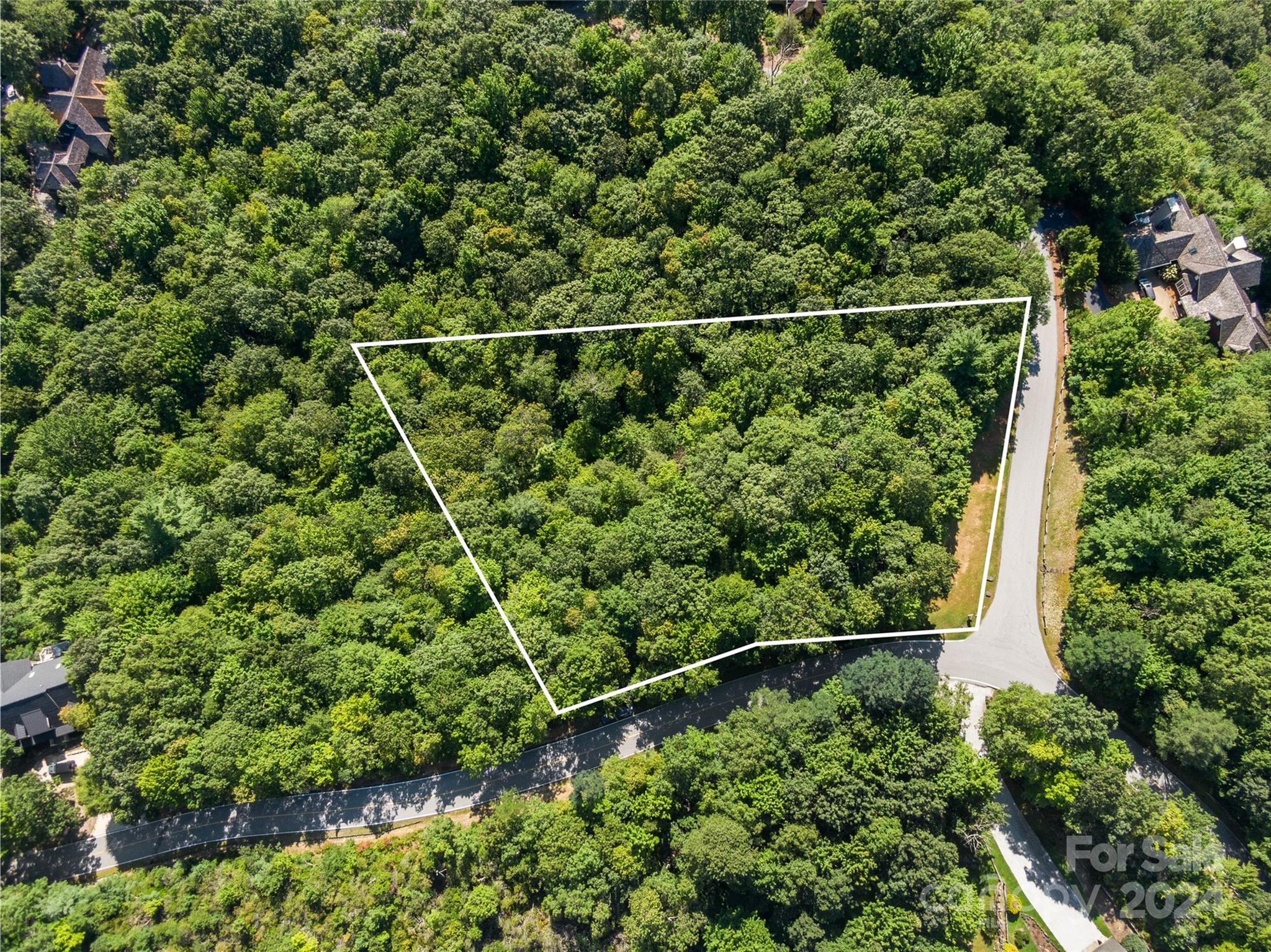 0 Toxaway Court Lake Toxaway NC 28747