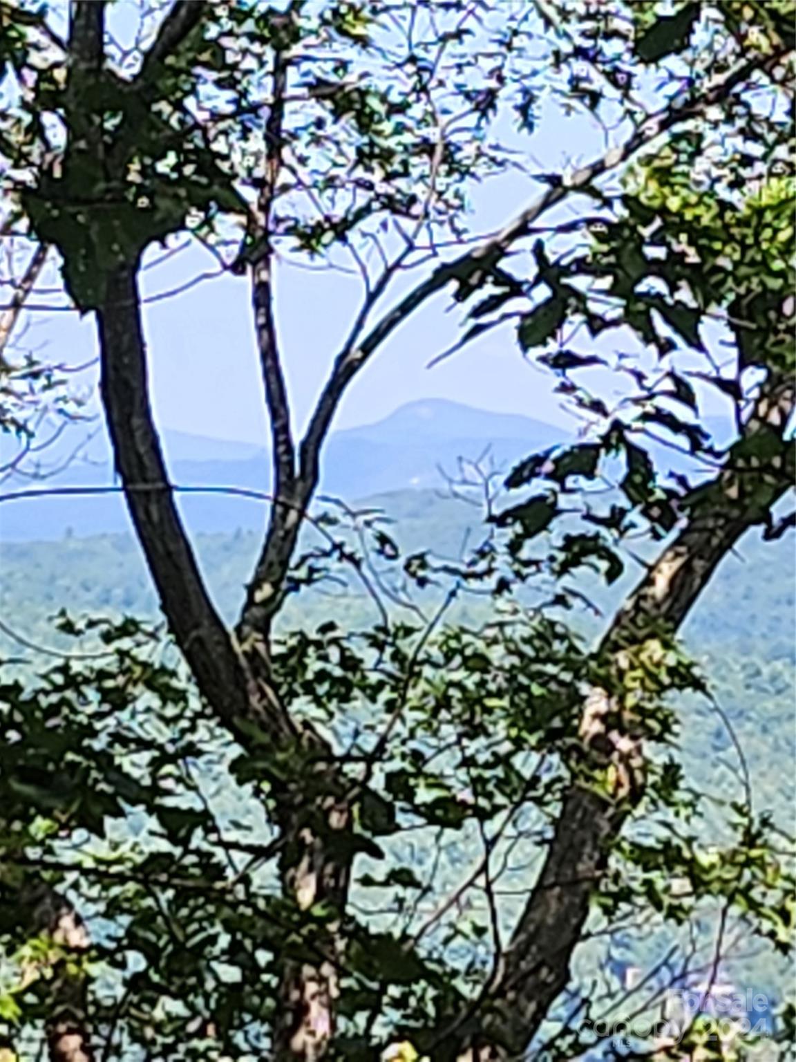 0 Toxaway Court Lake Toxaway NC 28747
