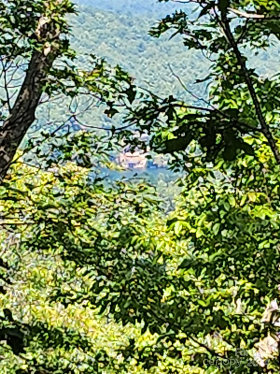 0 Toxaway Court Lake Toxaway NC 28747