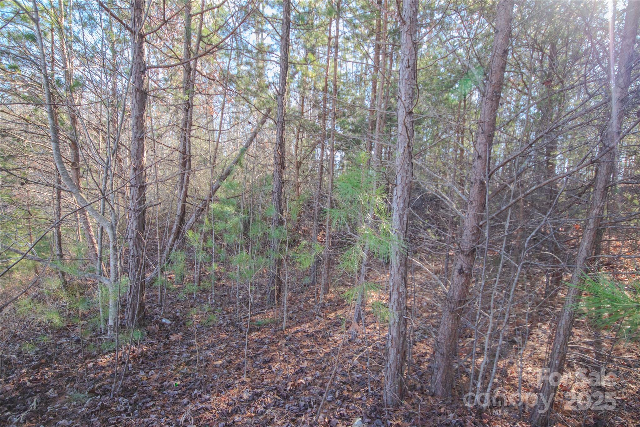 Lot# 82 Huntington Woods Street SE Lenoir NC 28645
