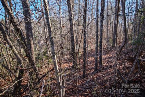 Lot# 82 Huntington Woods Street SE Lenoir NC 28645