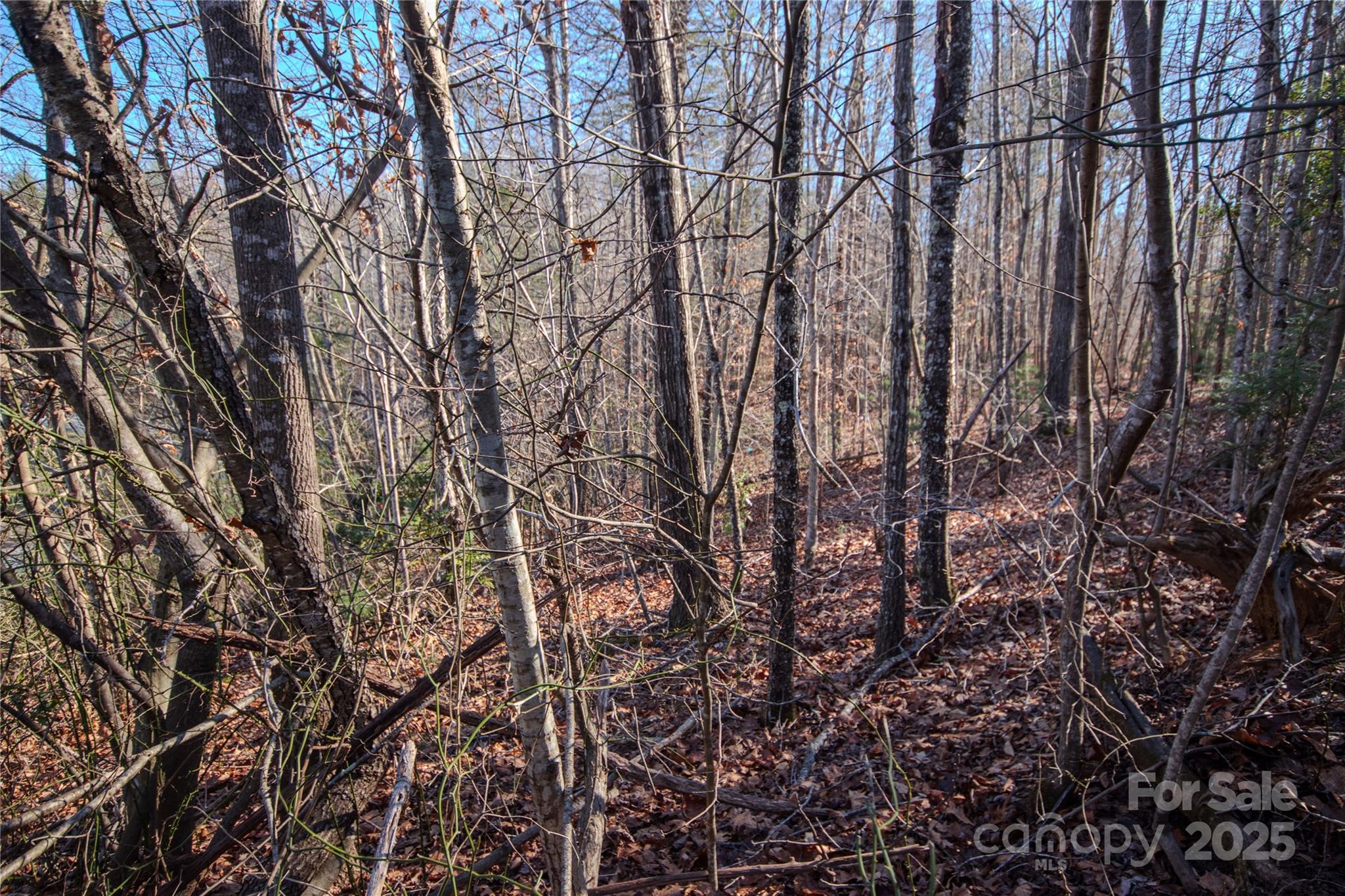 Lot# 82 Huntington Woods Street SE Lenoir NC 28645