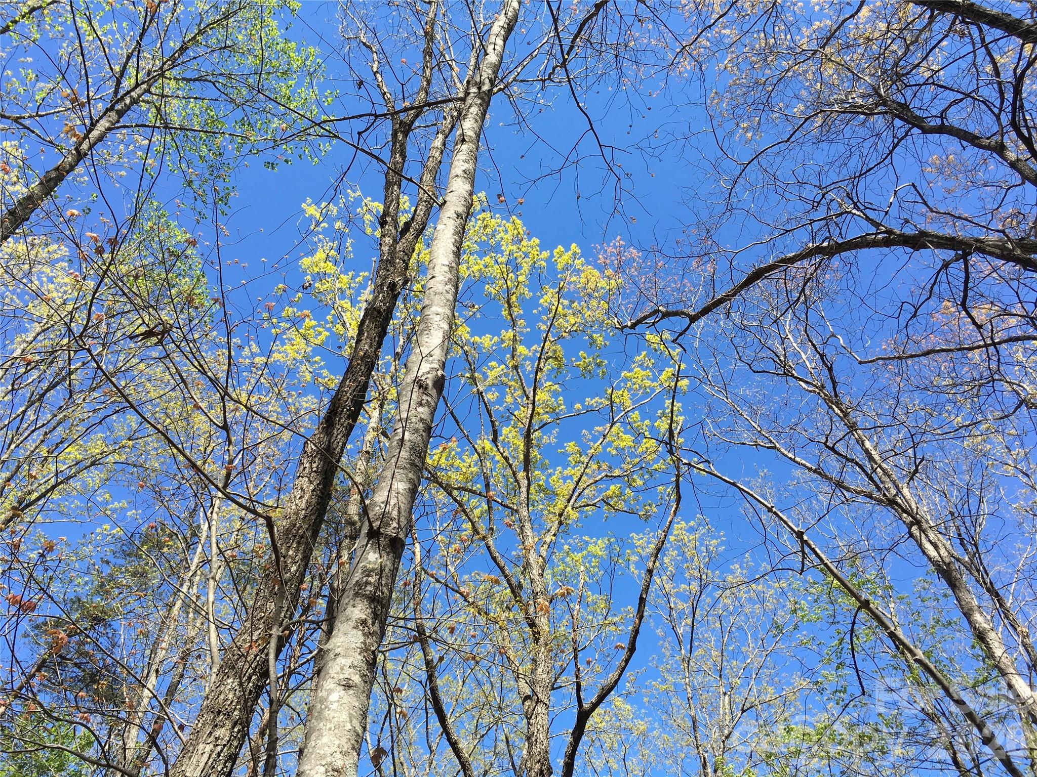 00 Lytle Mountain Road Marion NC 28752