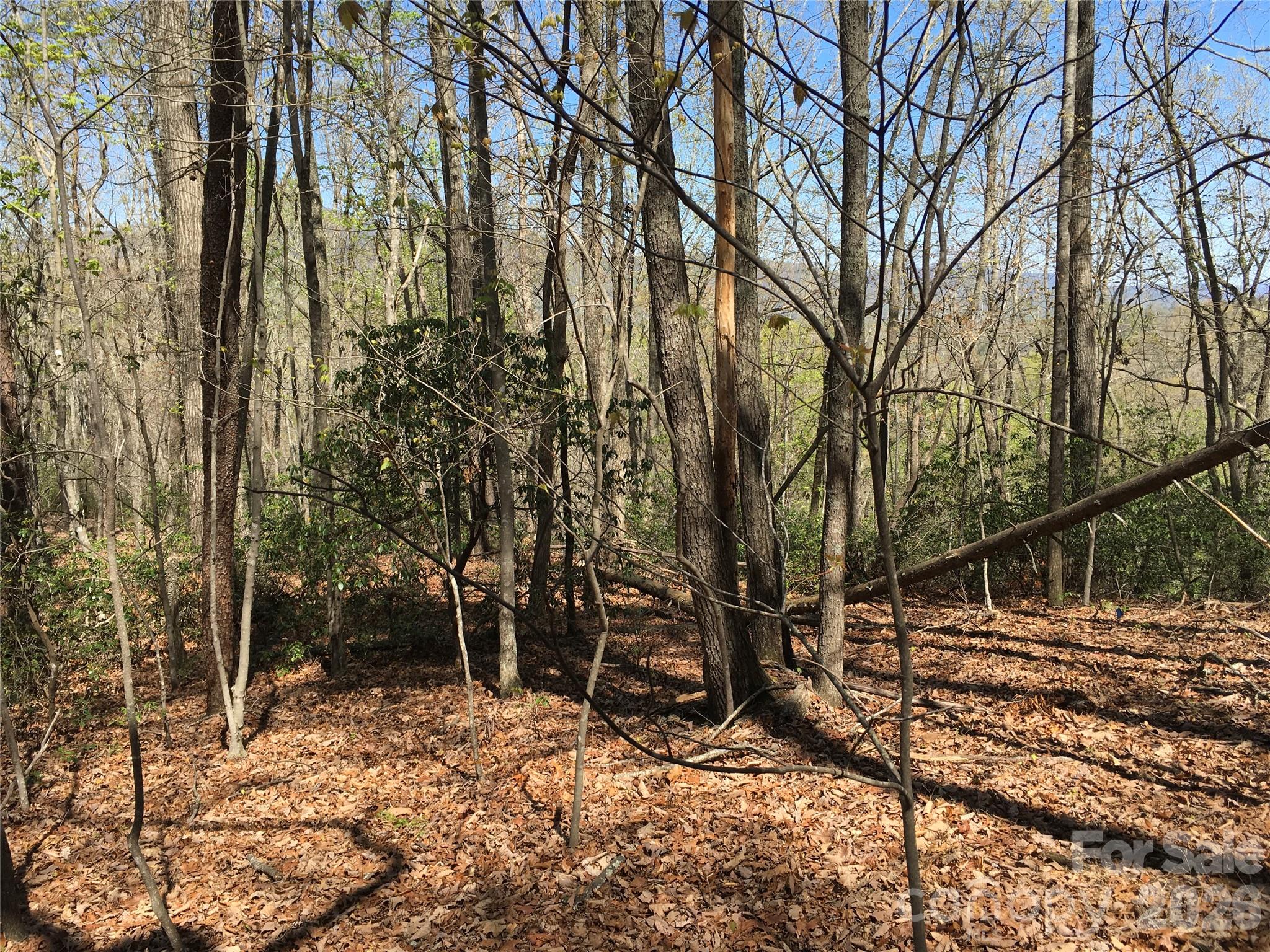00 Lytle Mountain Road Marion NC 28752