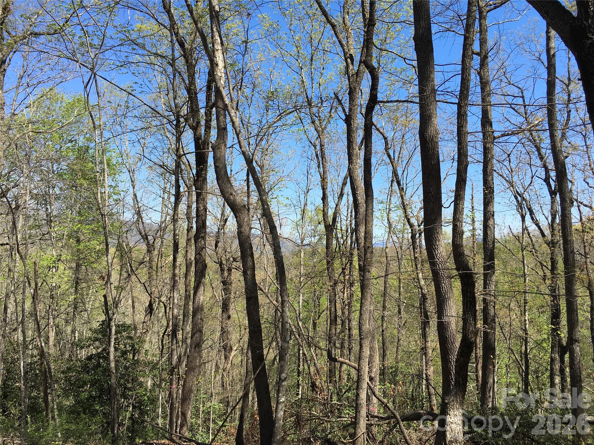 00 Lytle Mountain Road Marion NC 28752