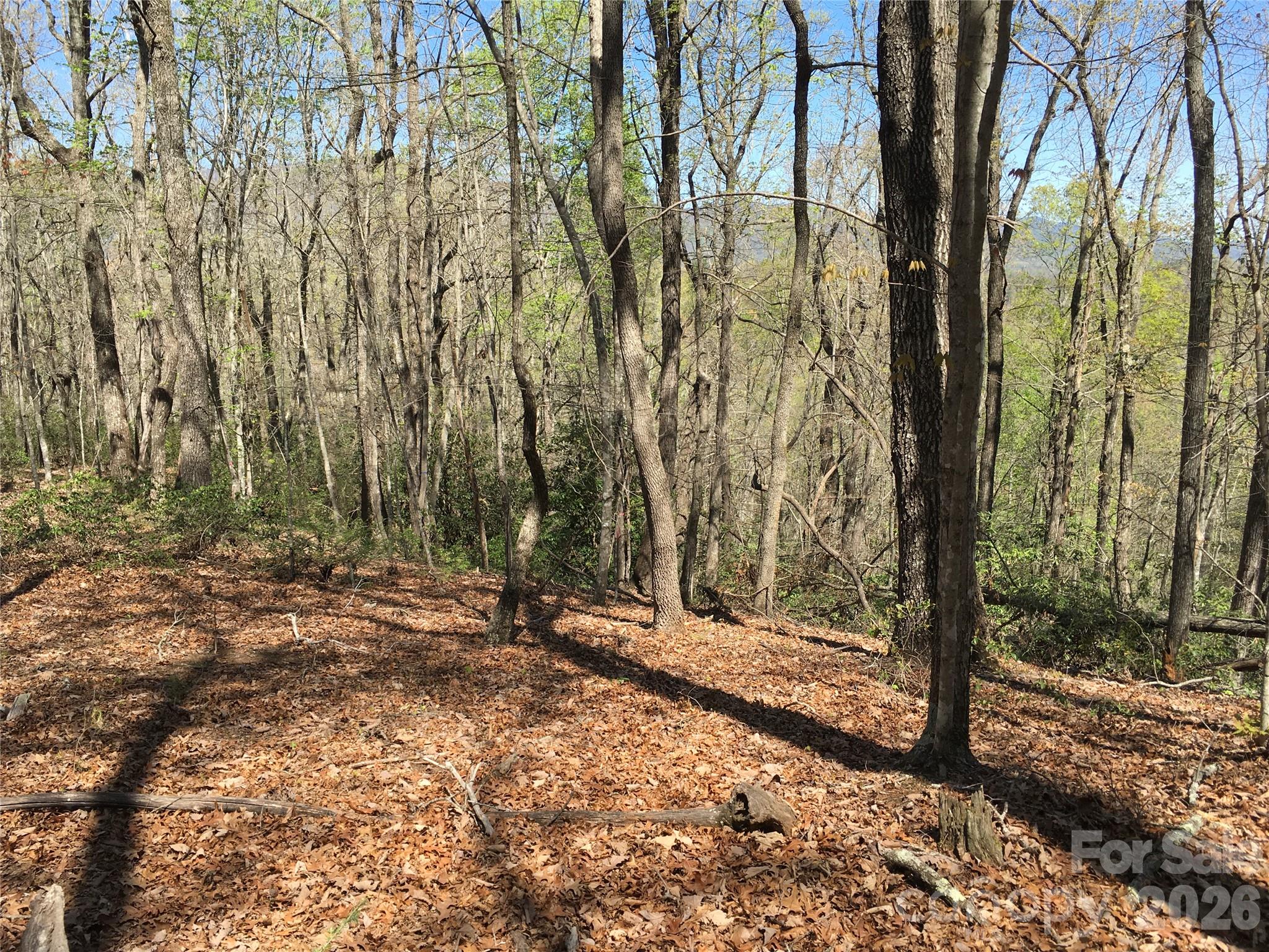 00 Lytle Mountain Road Marion NC 28752
