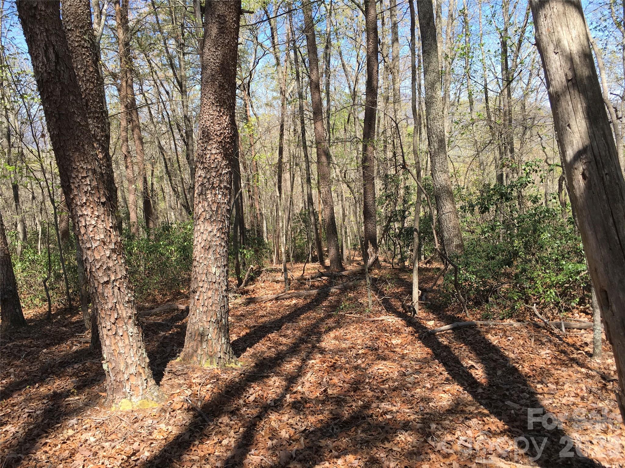 00 Lytle Mountain Road Marion NC 28752