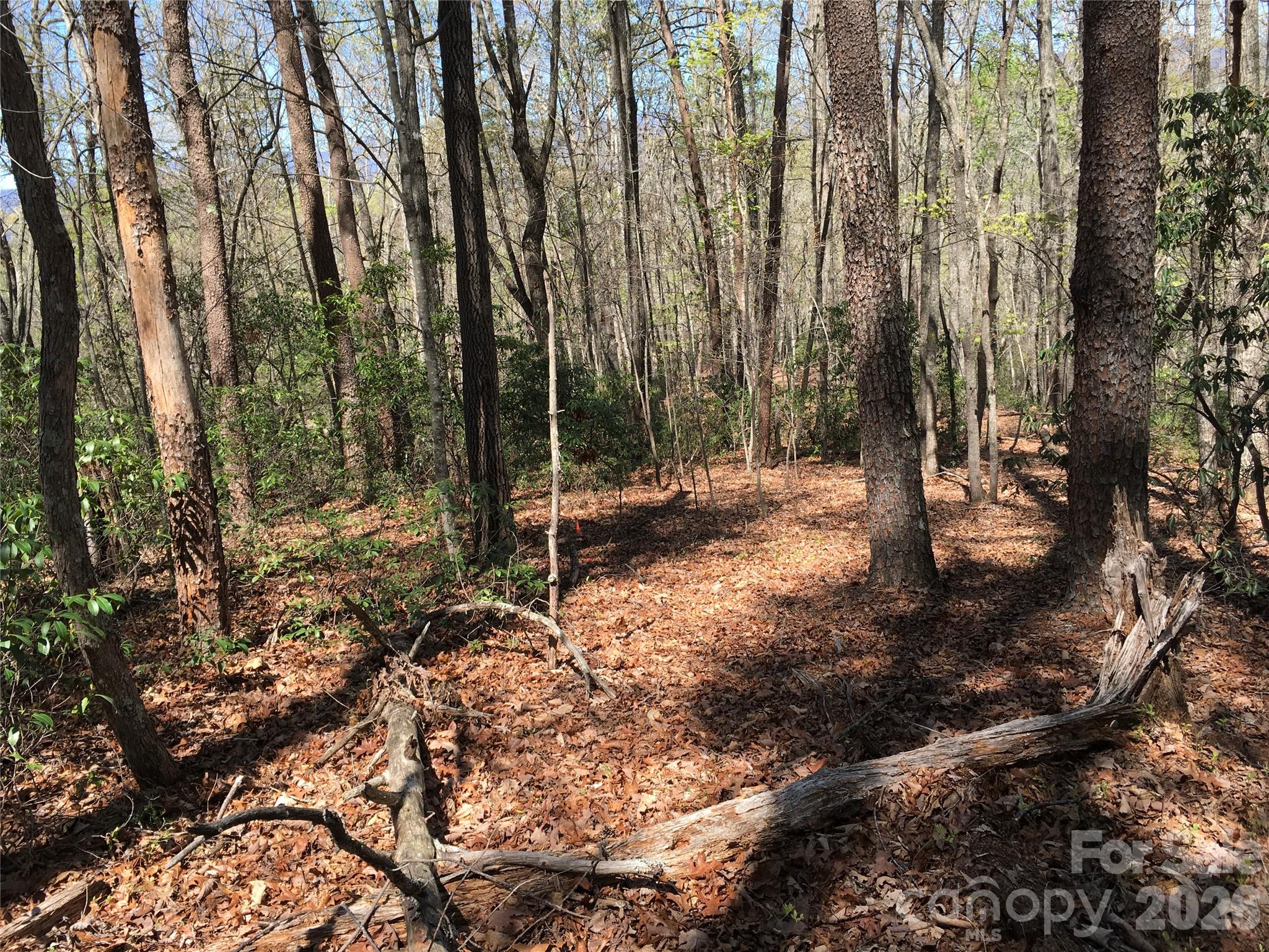 00 Lytle Mountain Road Marion NC 28752