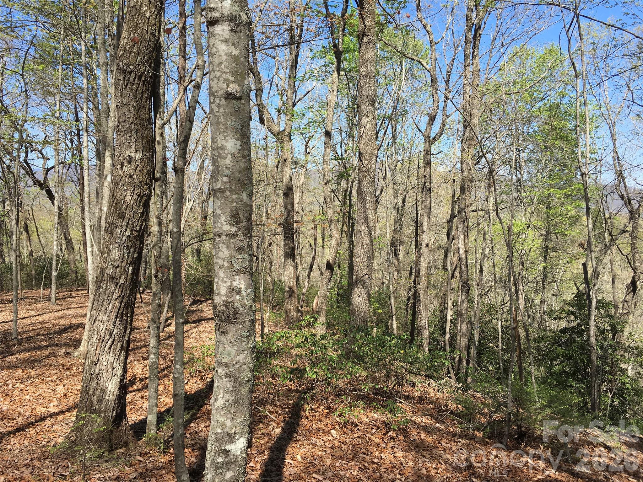 00 Lytle Mountain Road Marion NC 28752