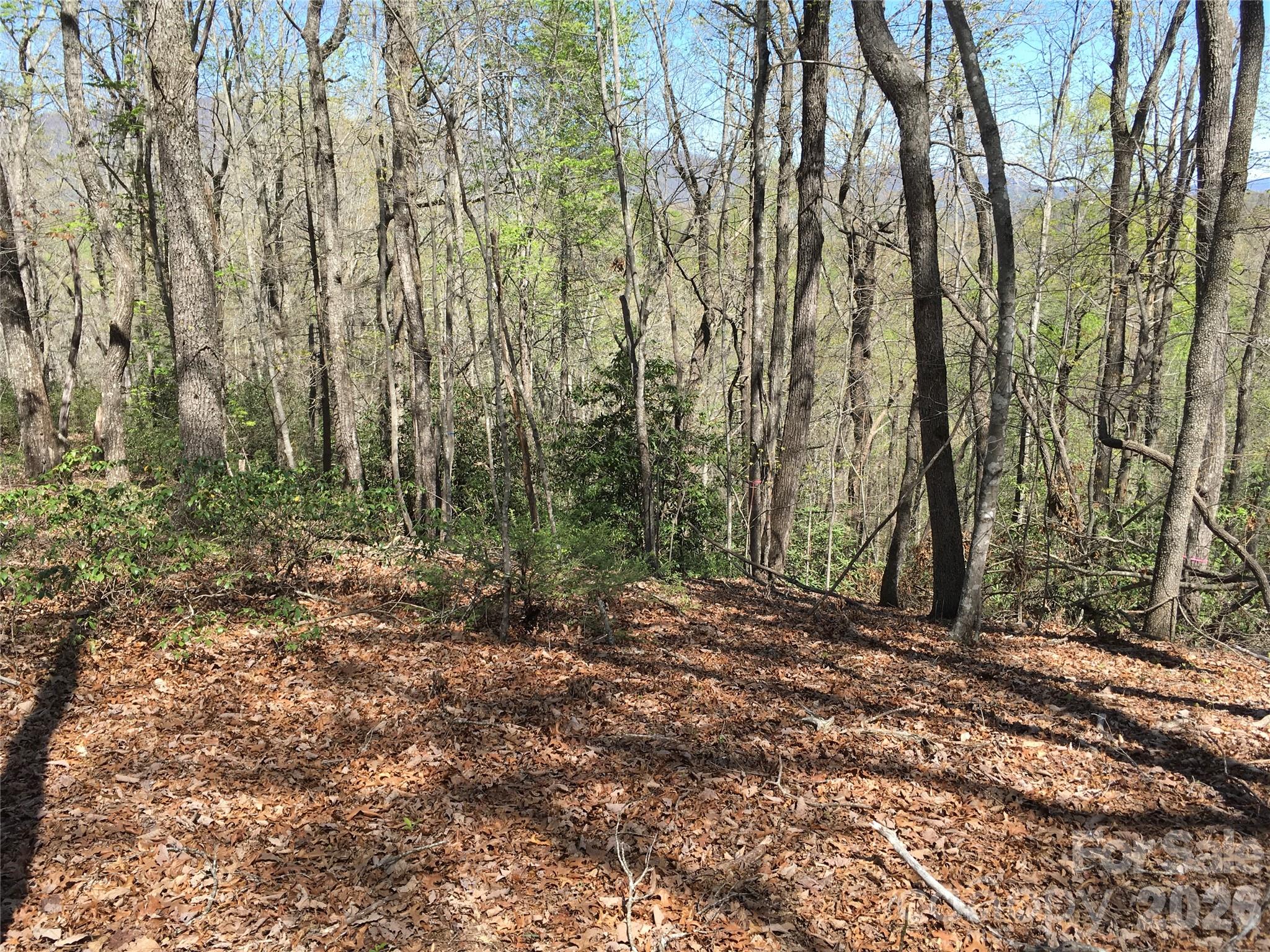 00 Lytle Mountain Road Marion NC 28752
