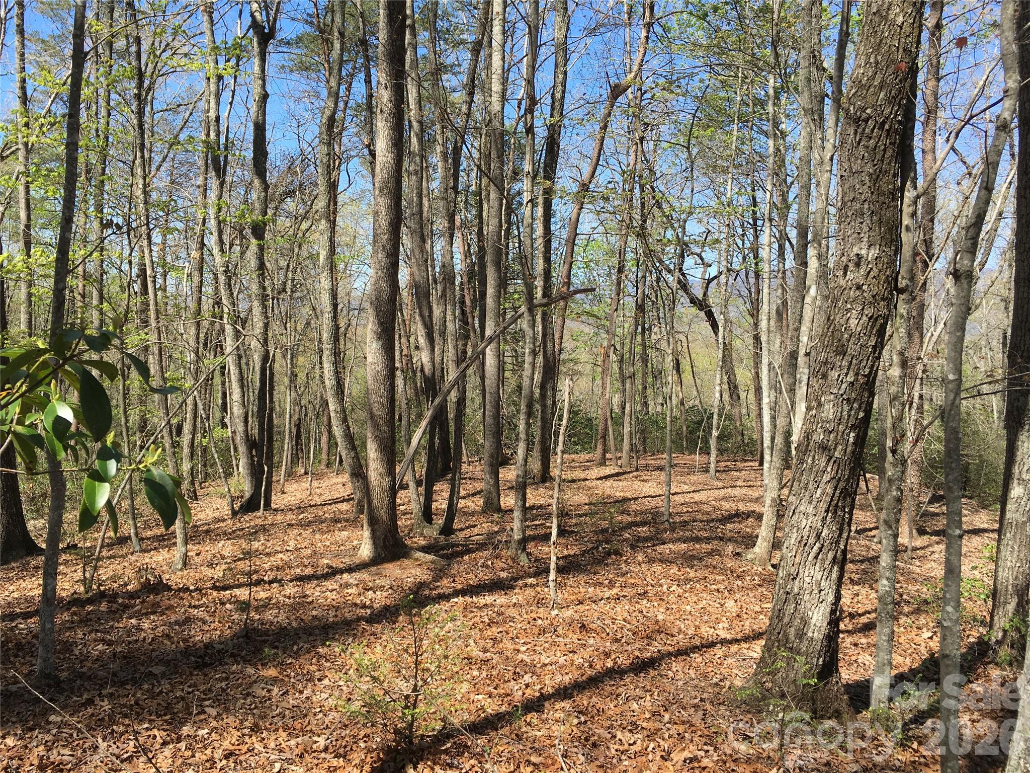 00 Lytle Mountain Road Marion NC 28752