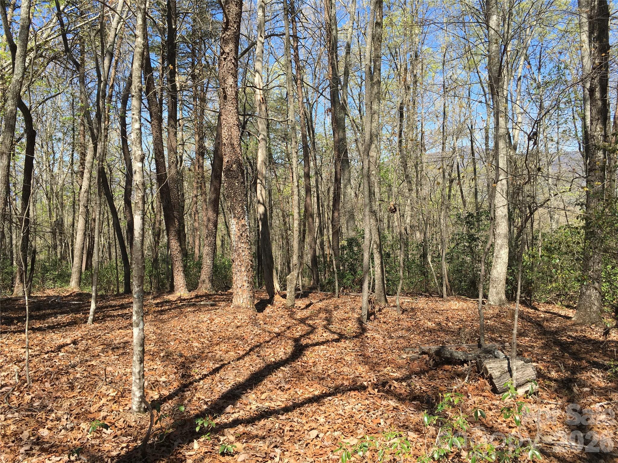 00 Lytle Mountain Road Marion NC 28752