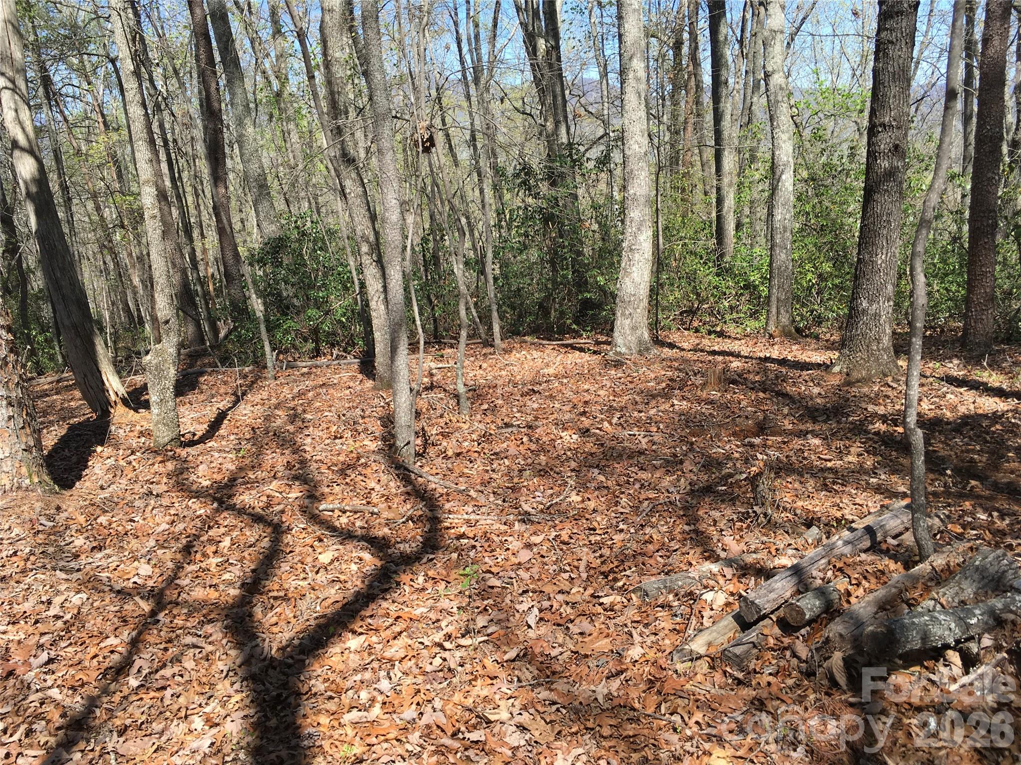00 Lytle Mountain Road Marion NC 28752