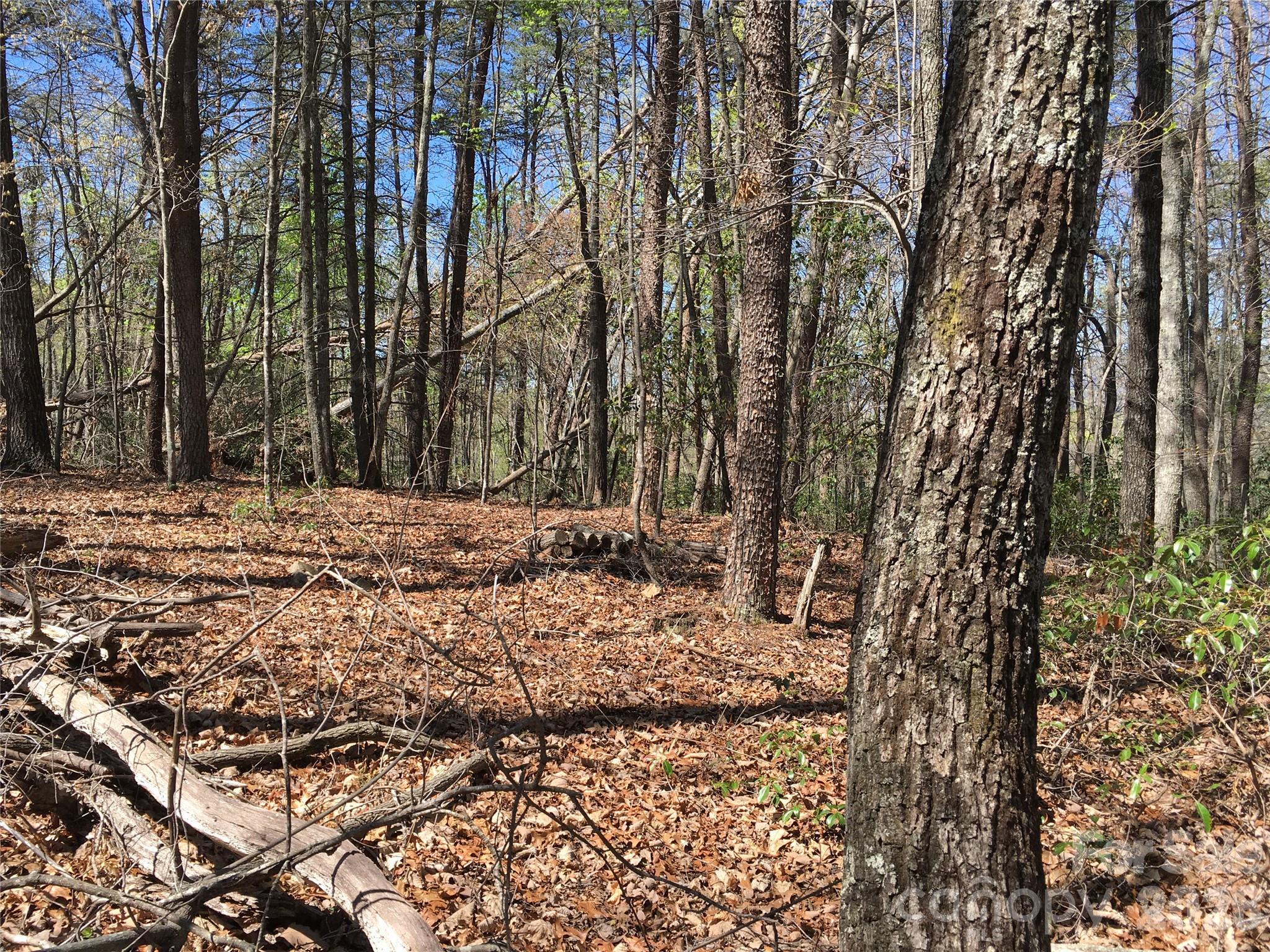 00 Lytle Mountain Road Marion NC 28752