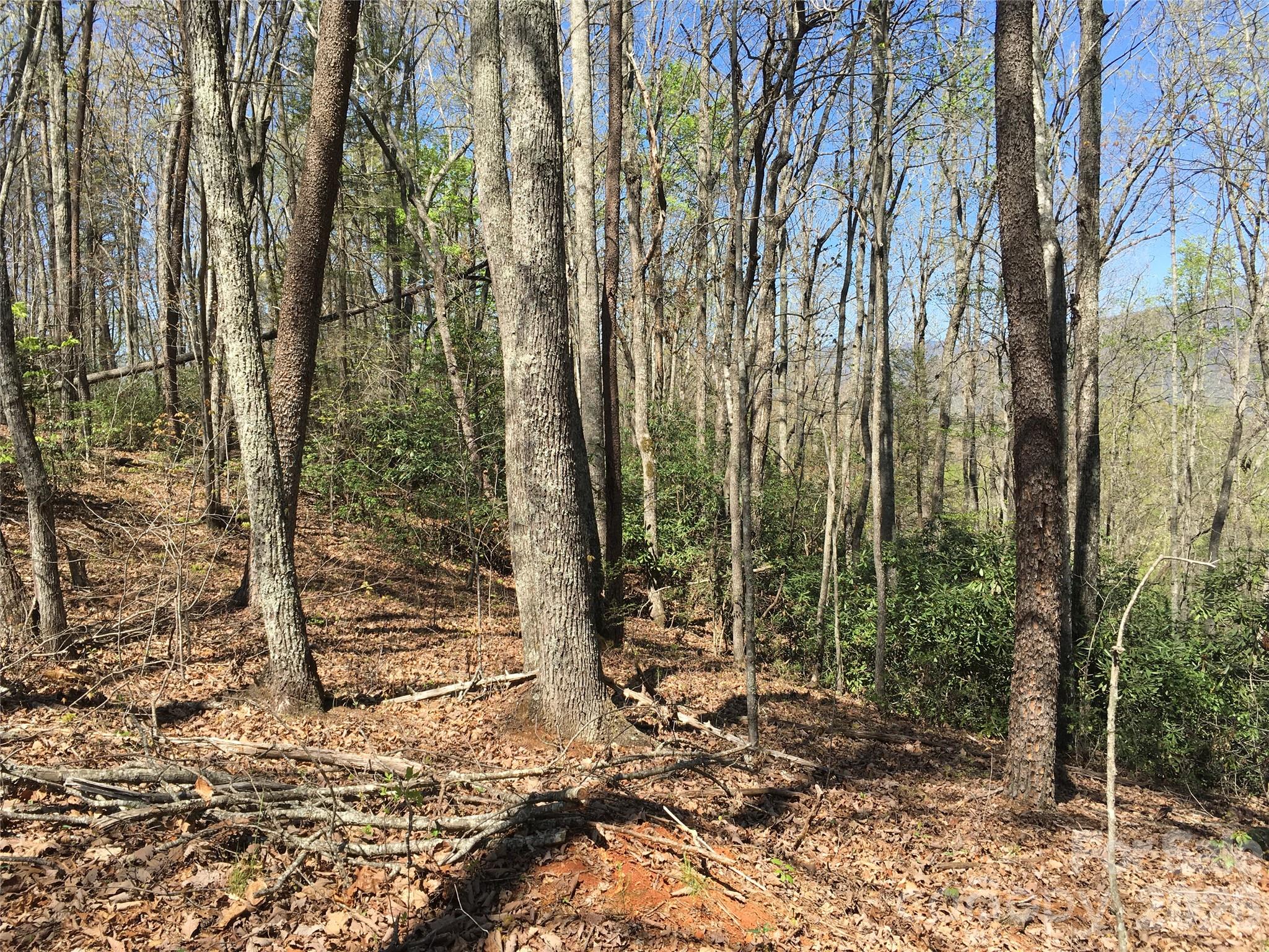 00 Lytle Mountain Road Marion NC 28752