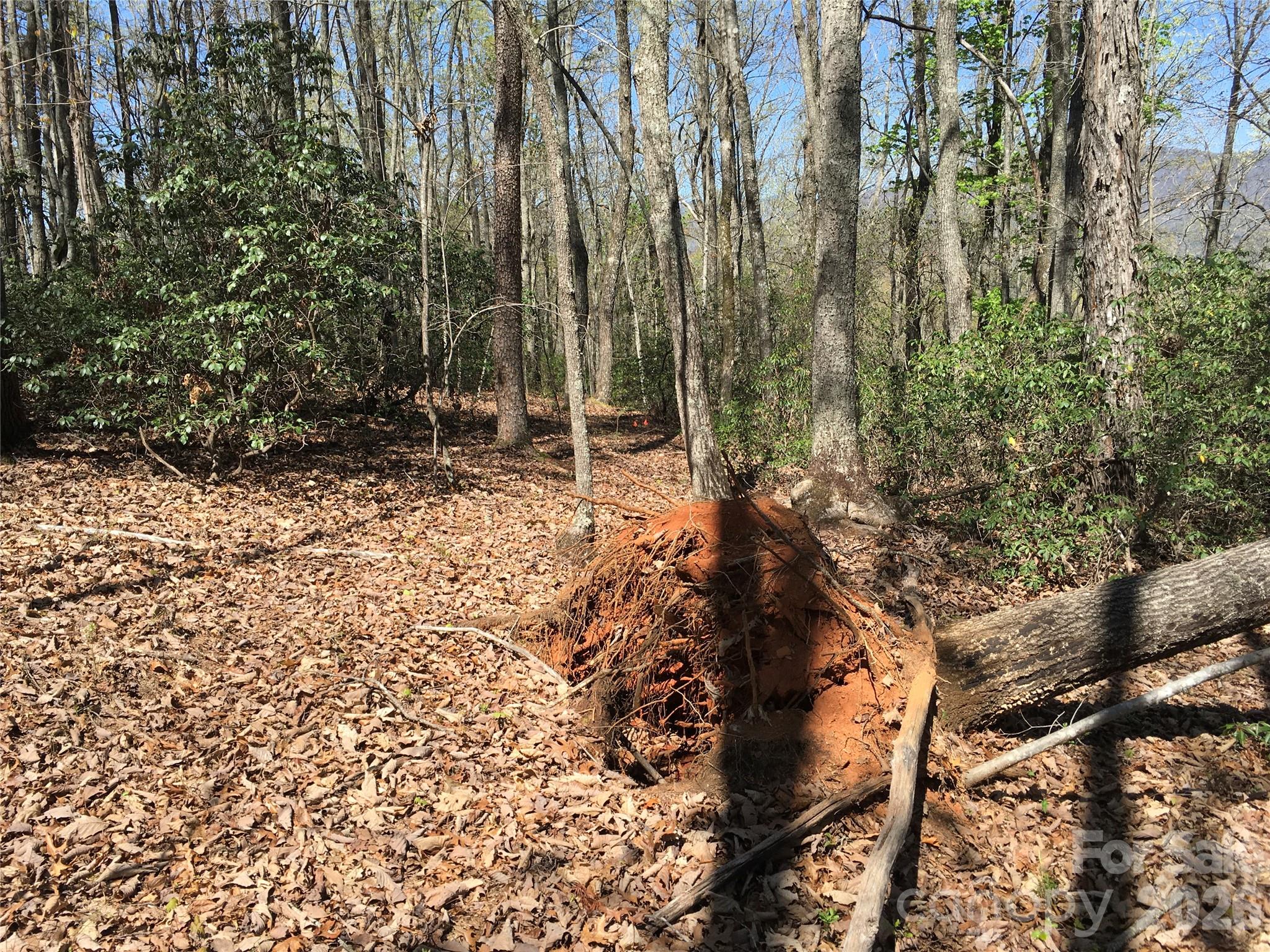 00 Lytle Mountain Road Marion NC 28752