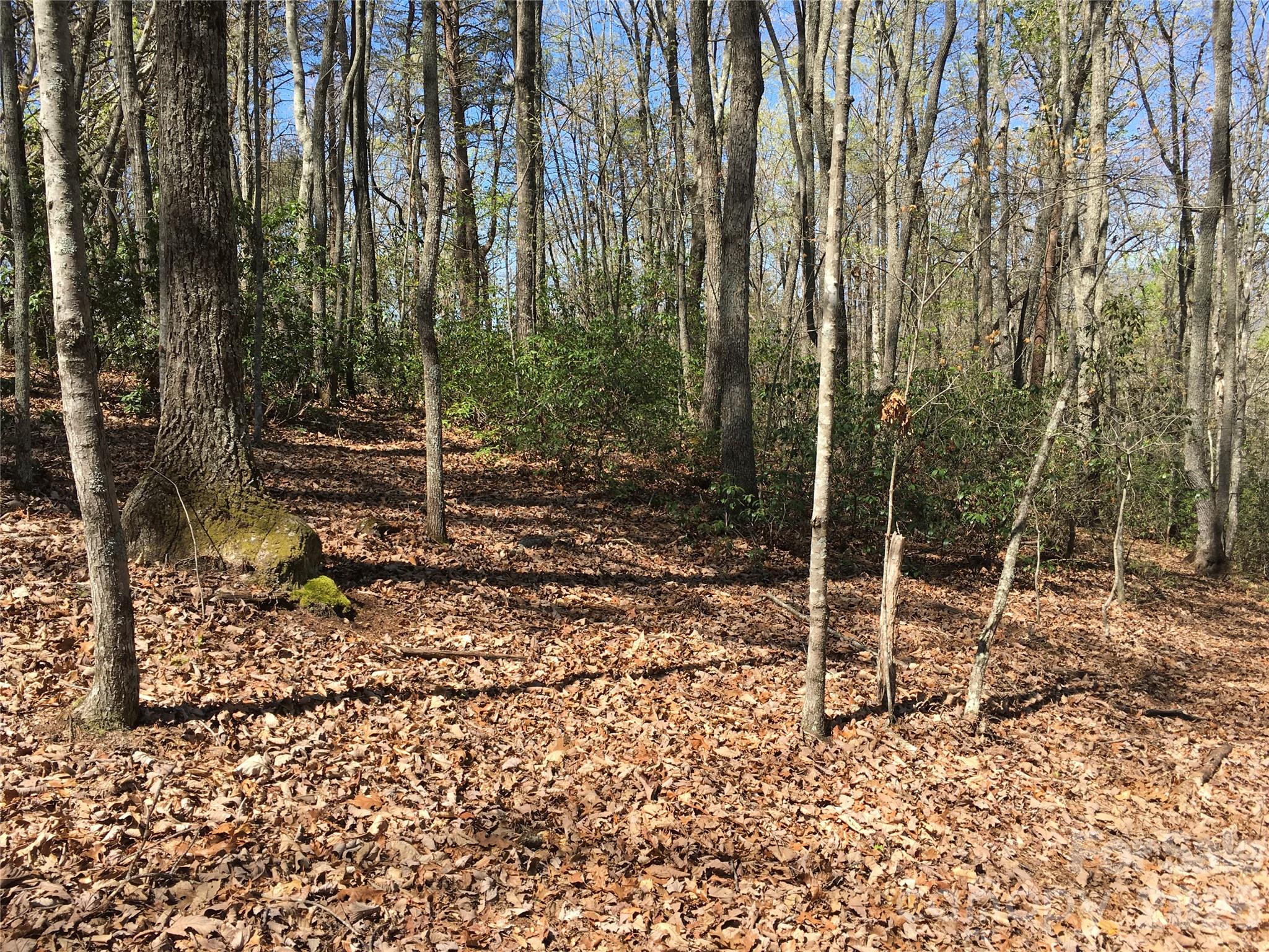 00 Lytle Mountain Road Marion NC 28752