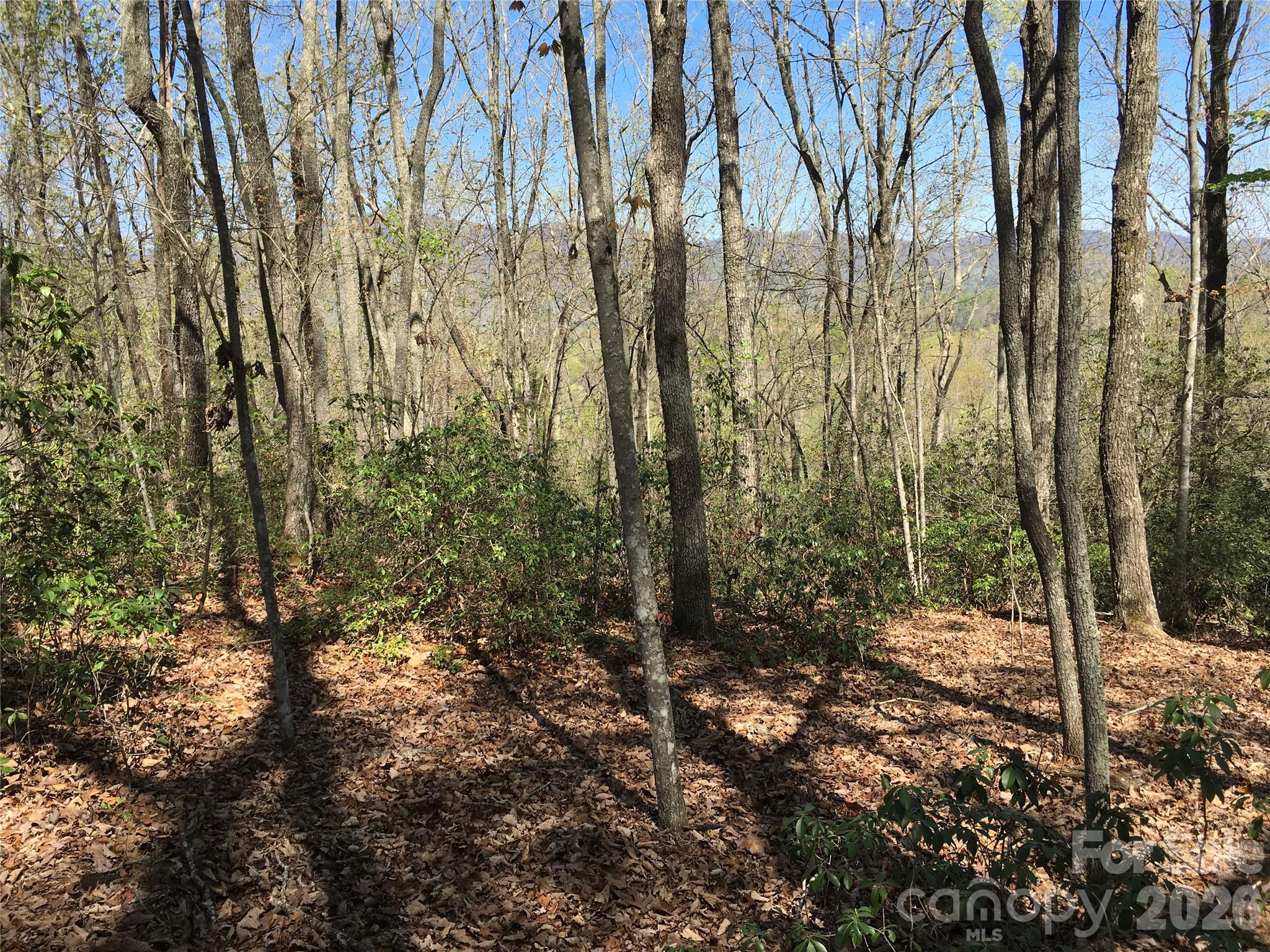 00 Lytle Mountain Road Marion NC 28752
