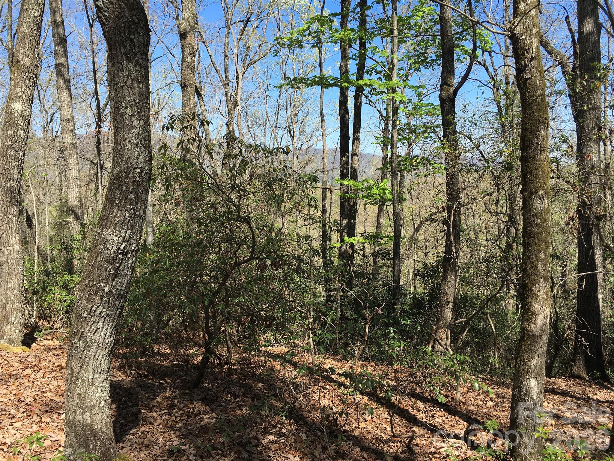 00 Lytle Mountain Road Marion NC 28752