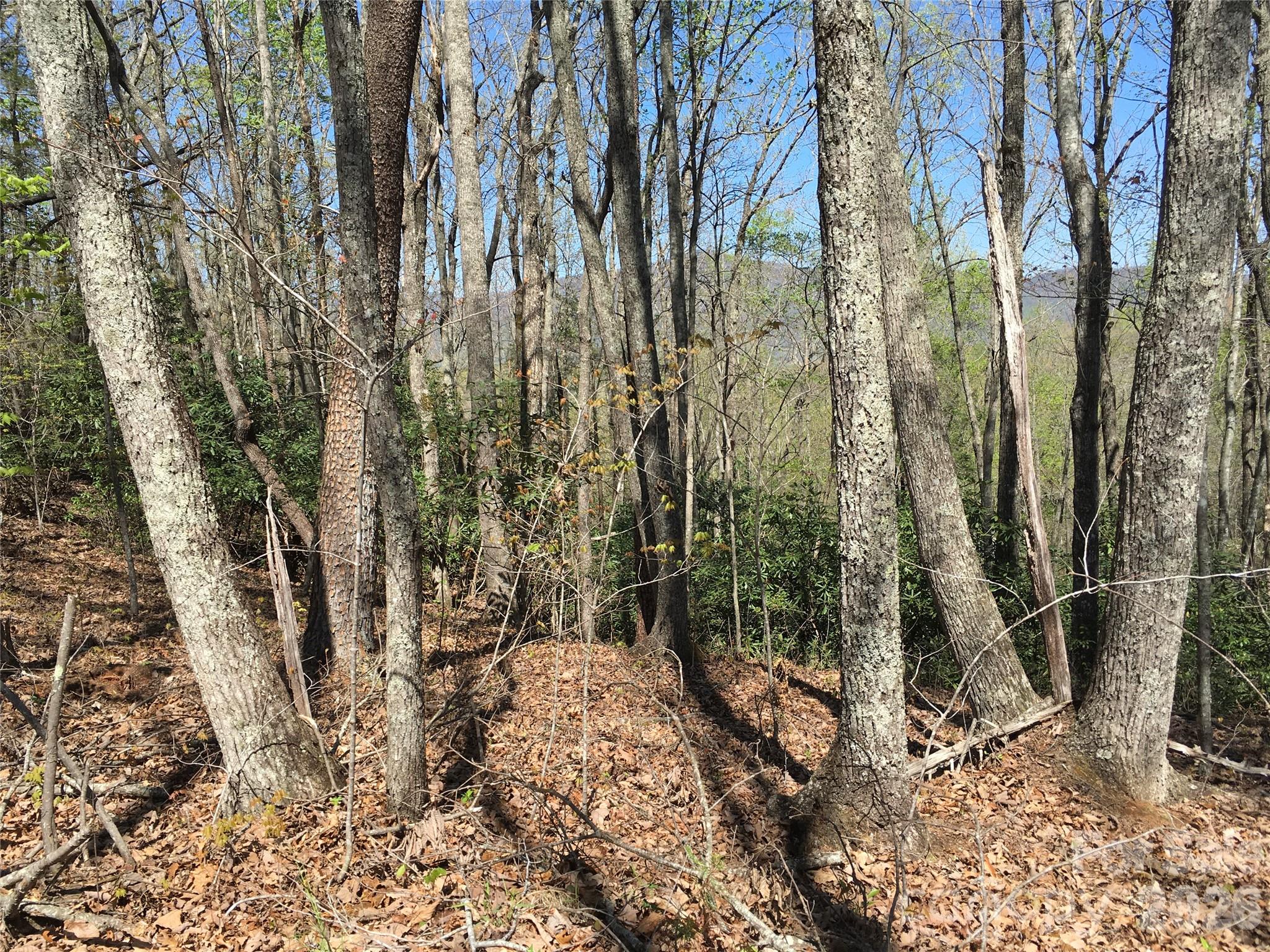 00 Lytle Mountain Road Marion NC 28752