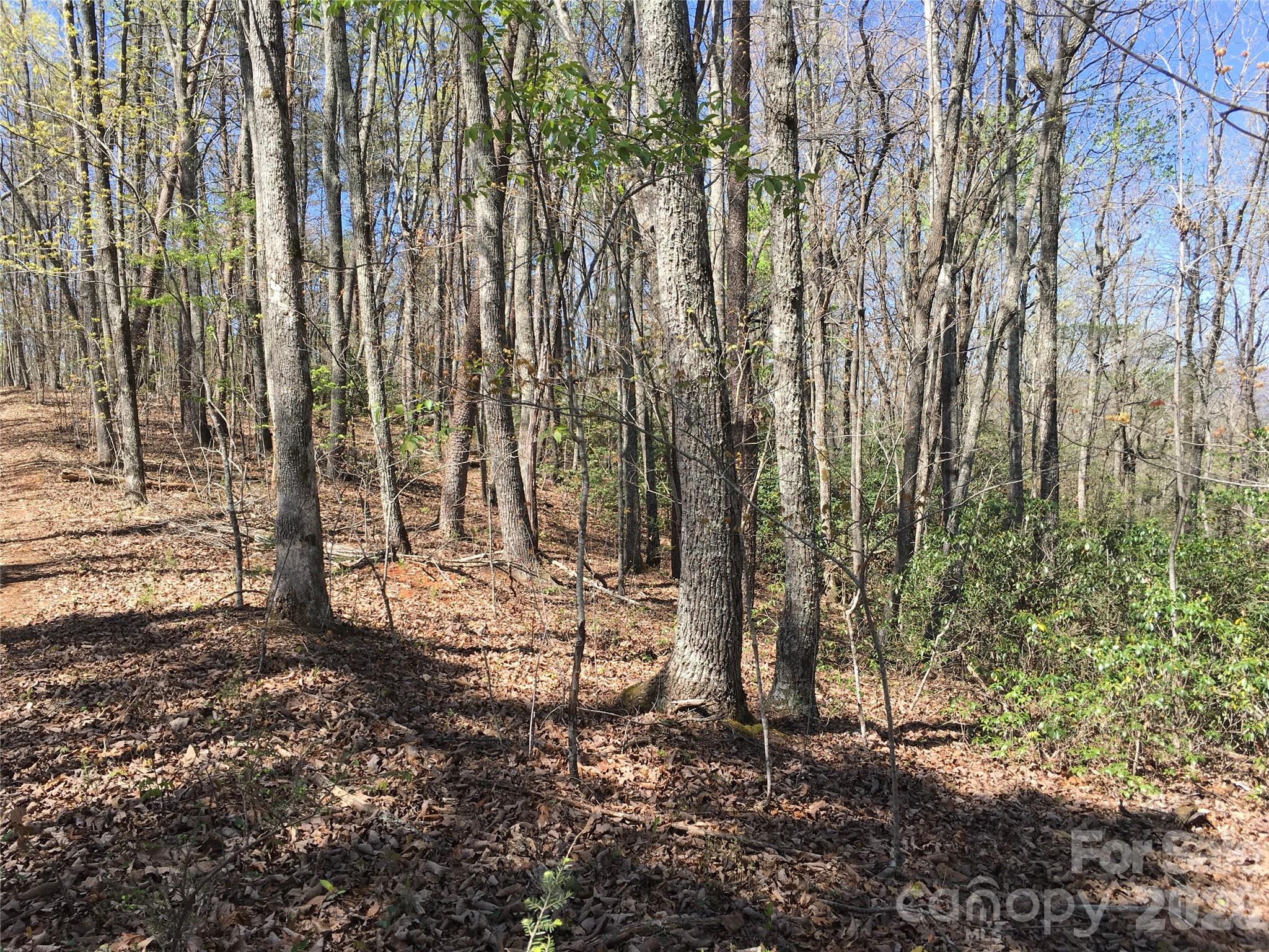 00 Lytle Mountain Road Marion NC 28752