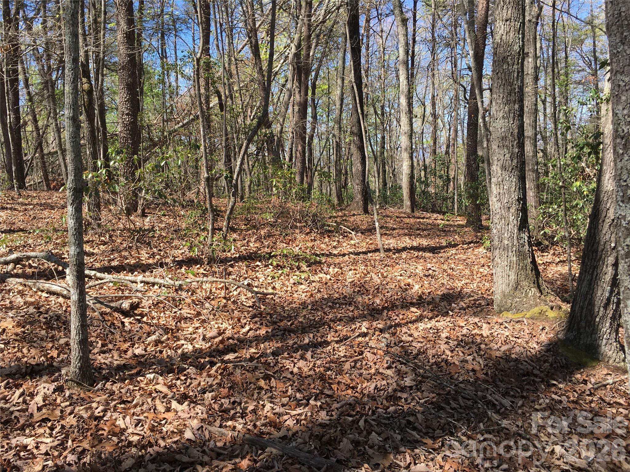 00 Lytle Mountain Road Marion NC 28752