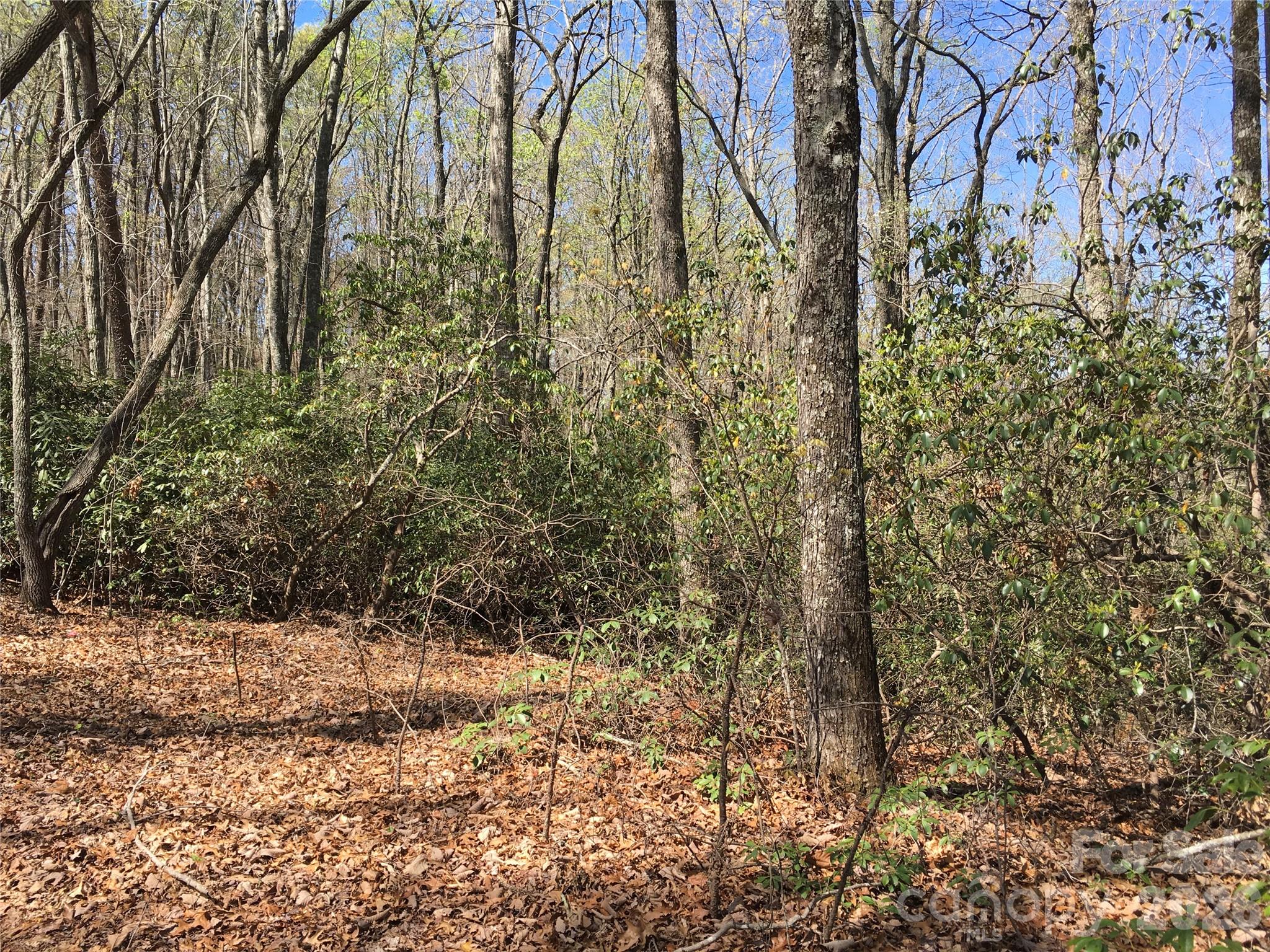 00 Lytle Mountain Road Marion NC 28752