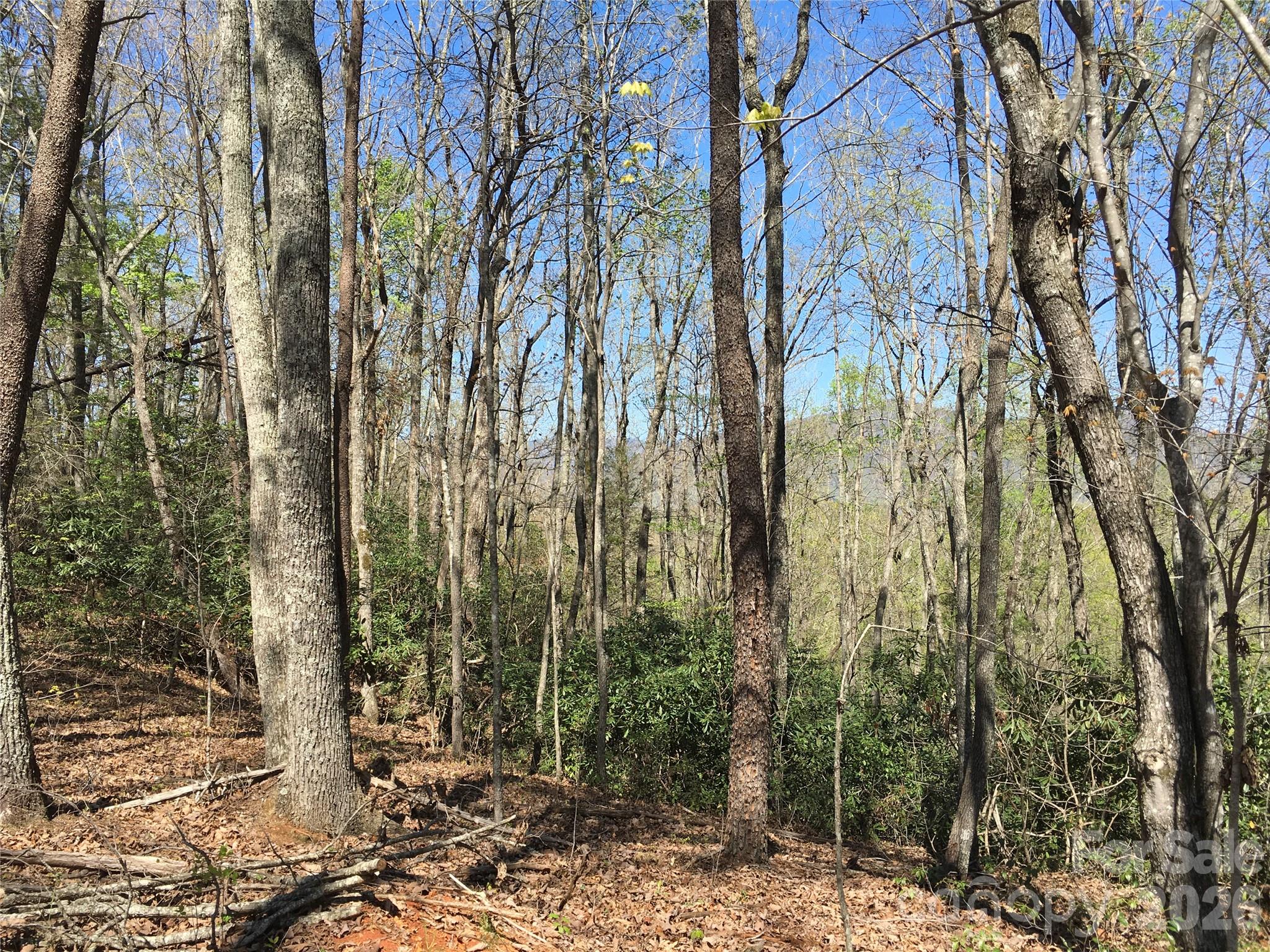 00 Lytle Mountain Road Marion NC 28752