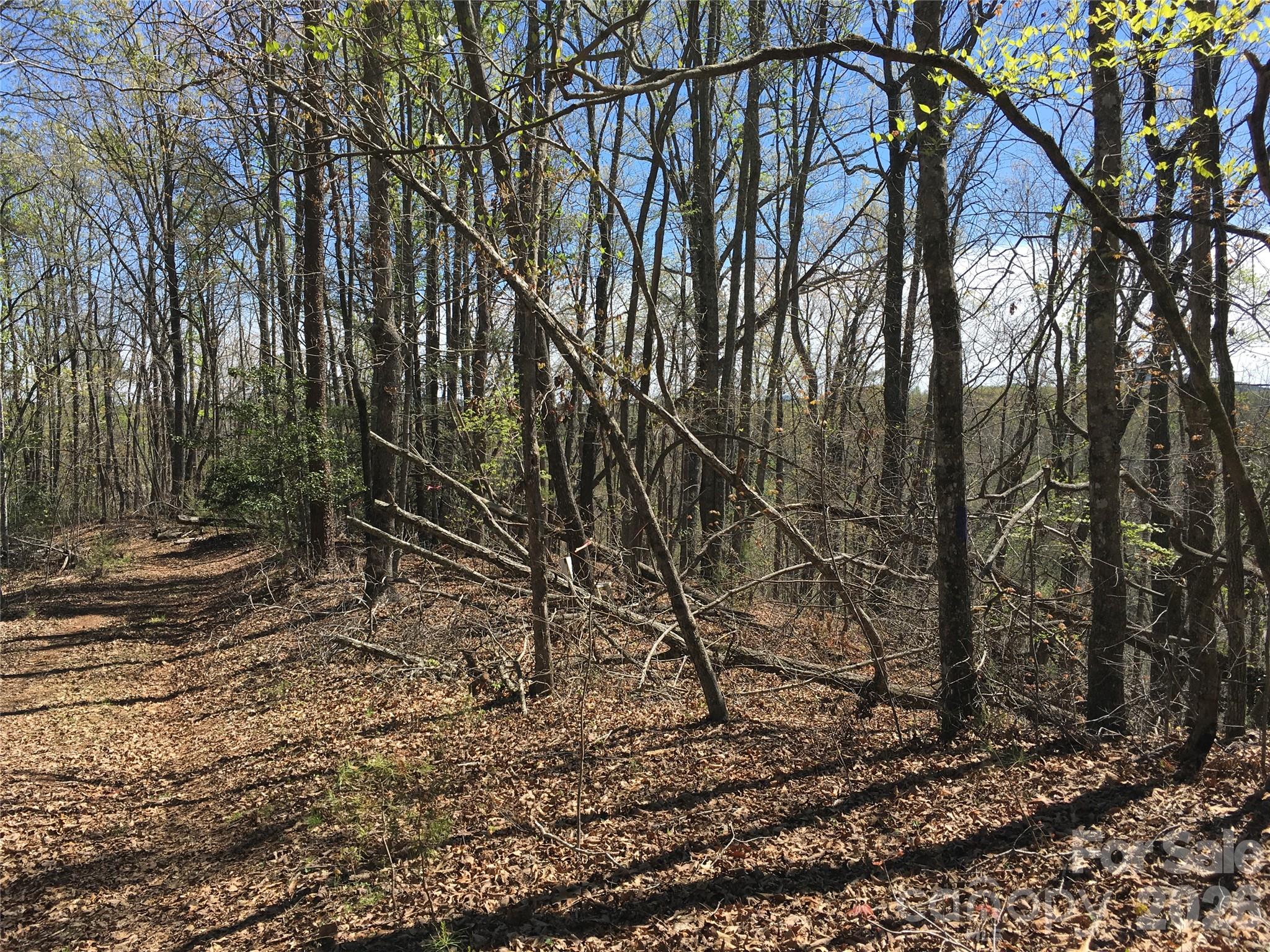 00 Lytle Mountain Road Marion NC 28752