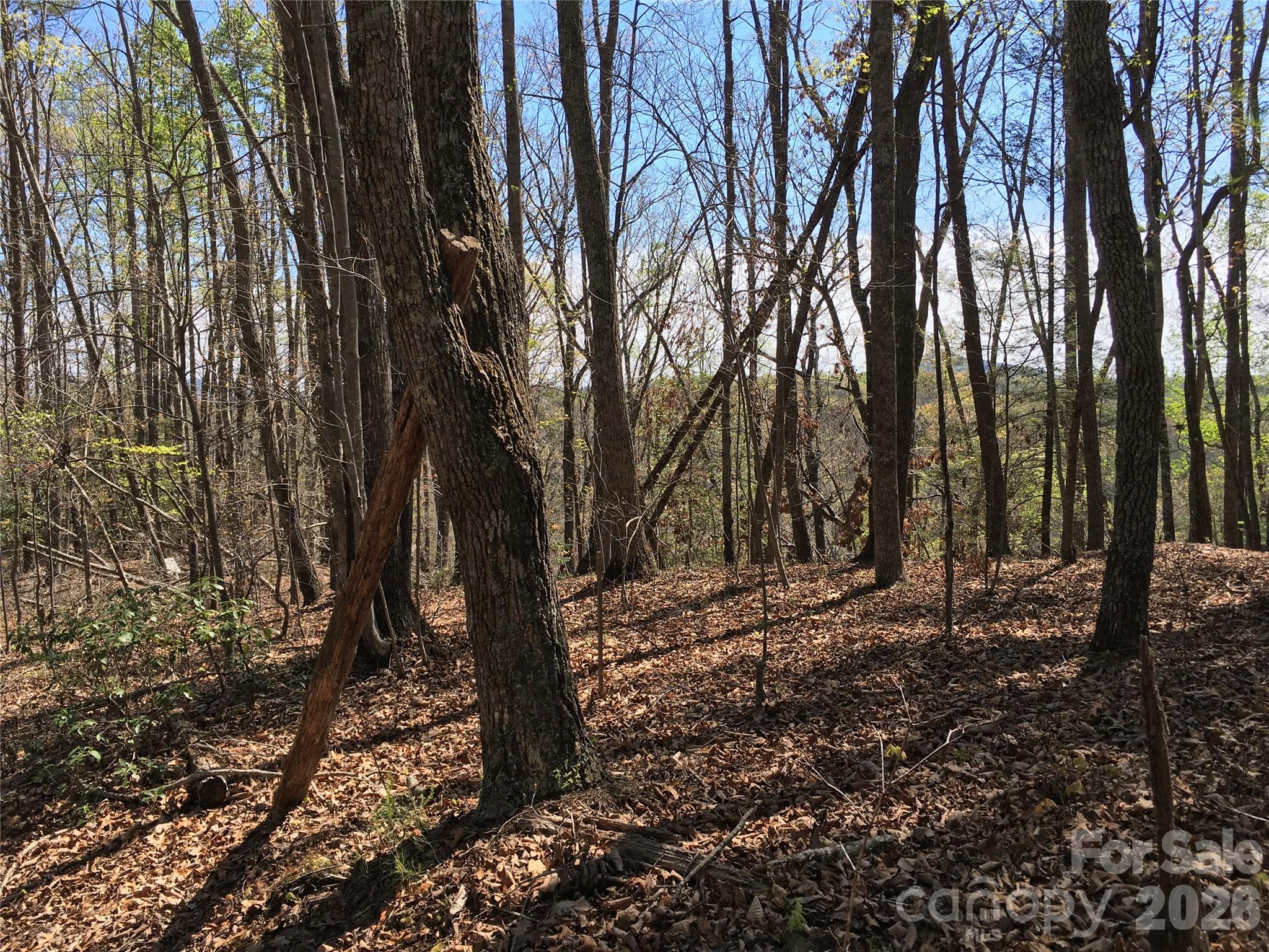 00 Lytle Mountain Road Marion NC 28752