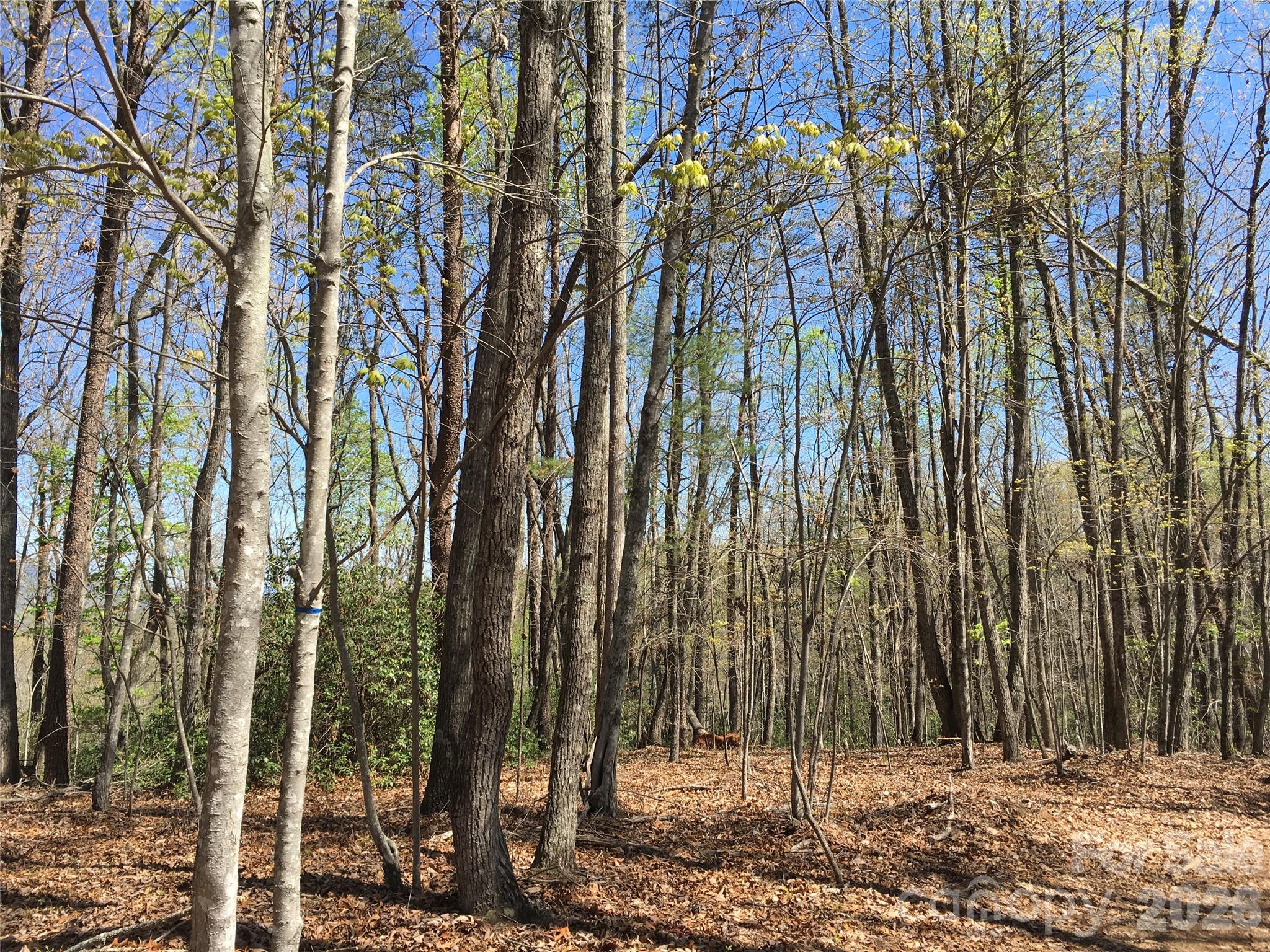 00 Lytle Mountain Road Marion NC 28752